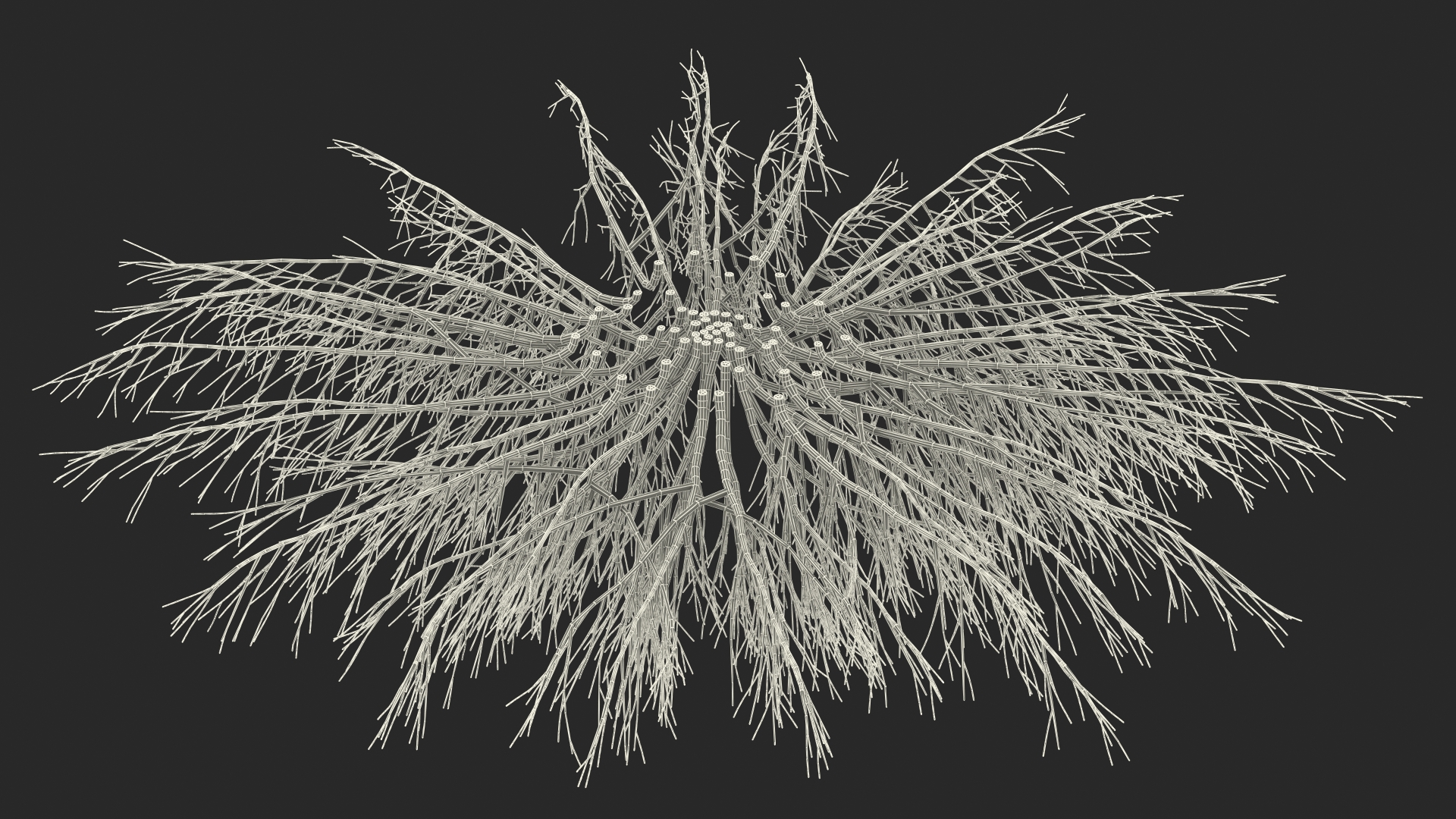 Horizontal Conifer Shrub 3D model