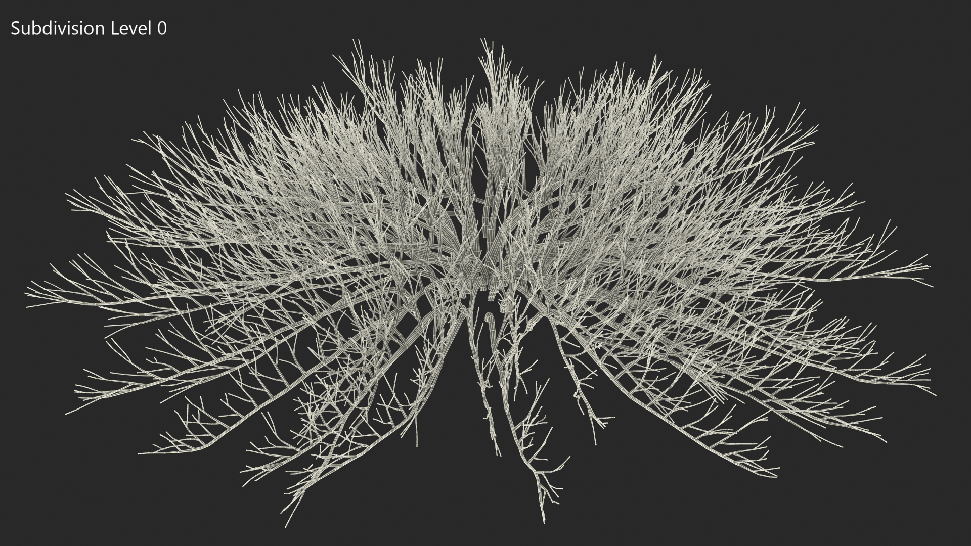Horizontal Conifer Shrub 3D model