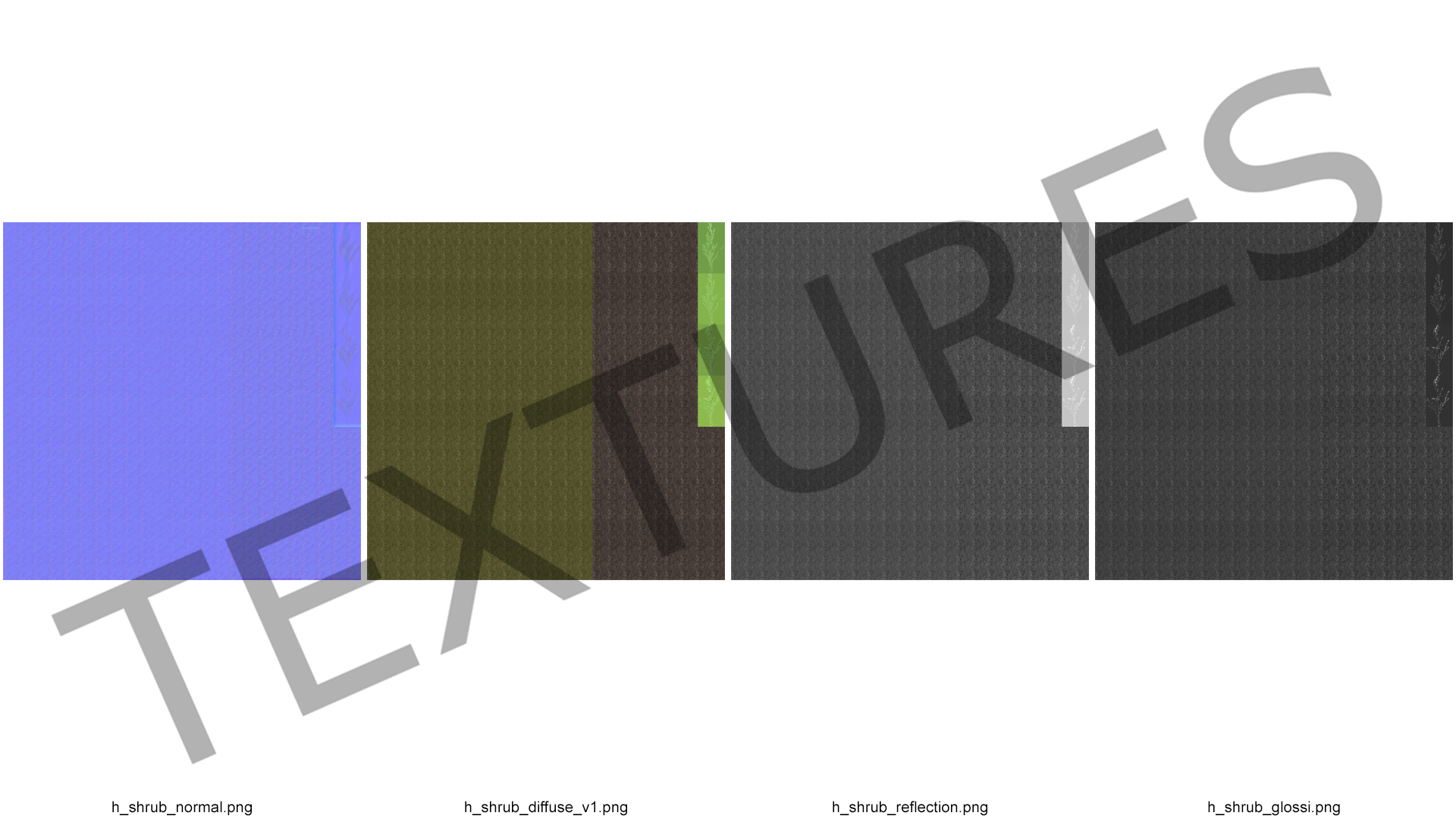 Horizontal Conifer Shrub 3D model