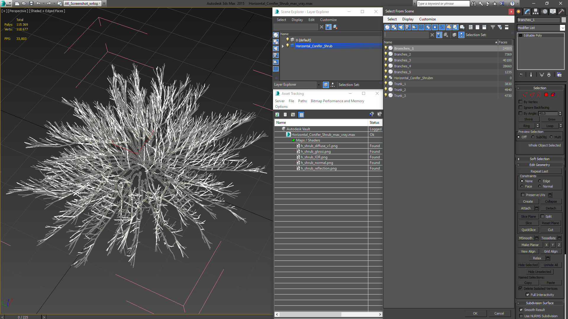 Horizontal Conifer Shrub 3D model