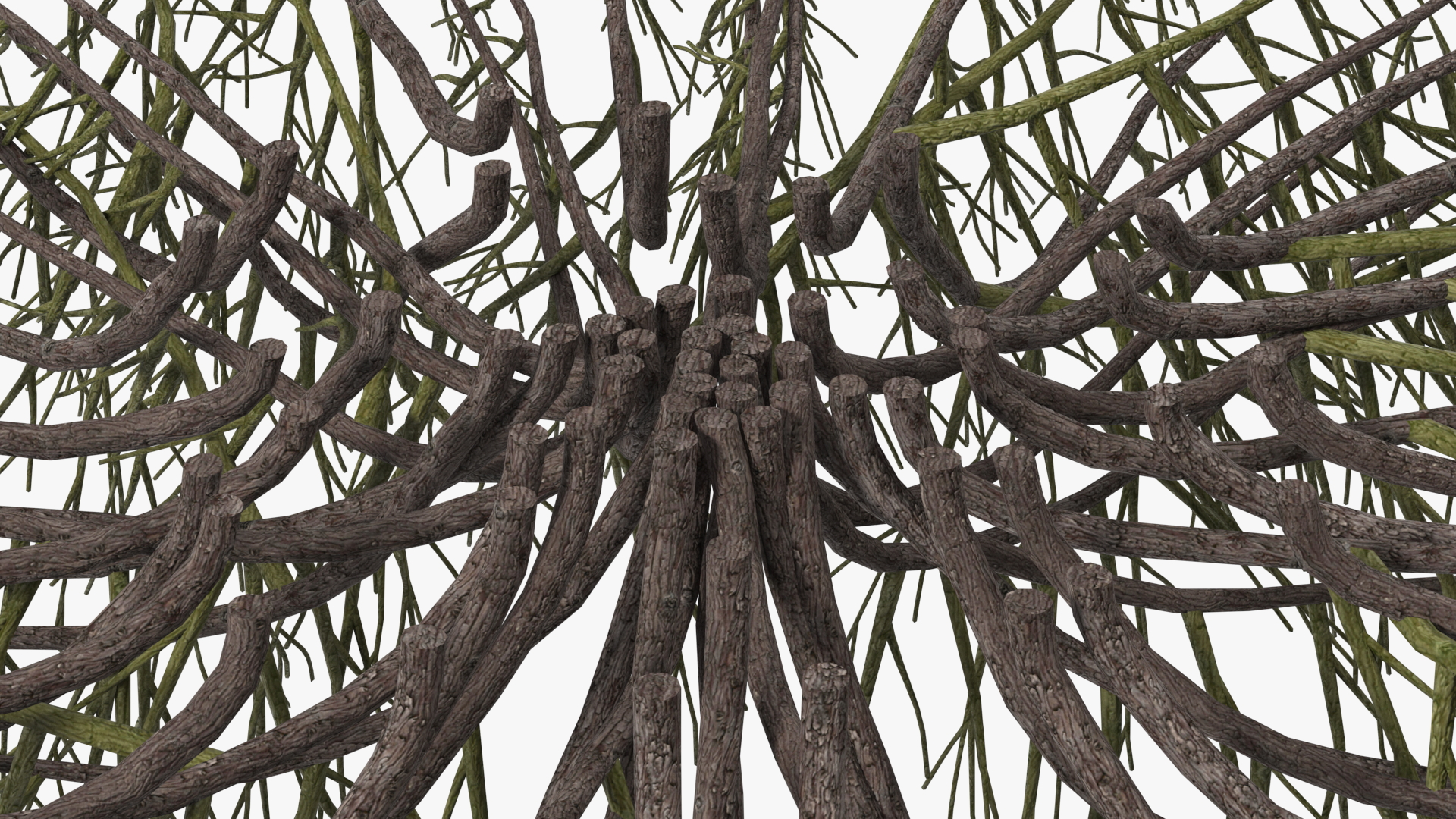 Horizontal Conifer Shrub 3D model