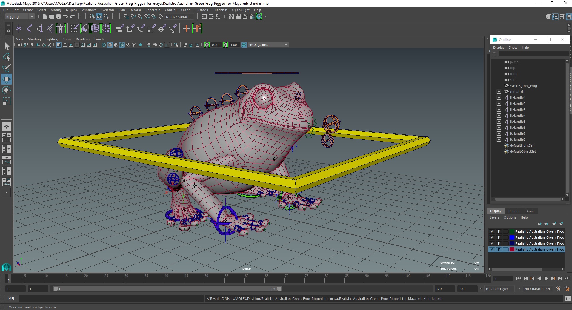 Realistic Australian Green Frog Rigged for Maya 3D