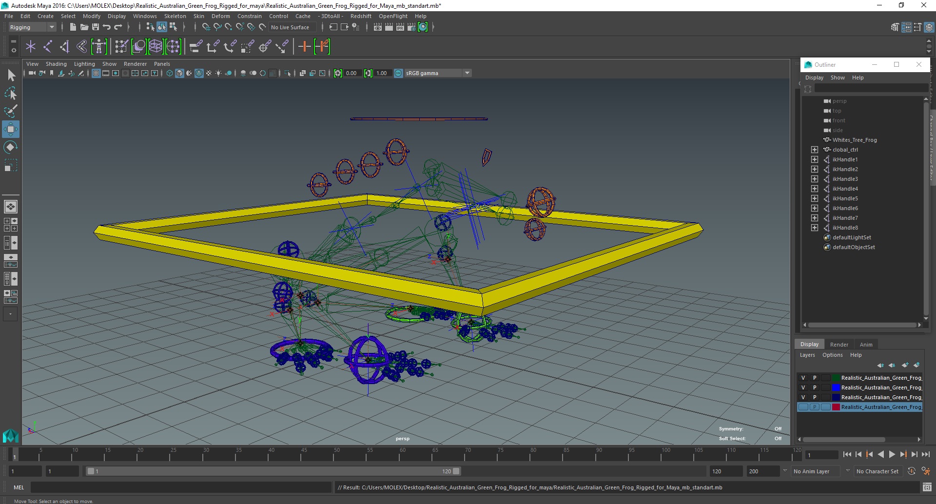 Realistic Australian Green Frog Rigged for Maya 3D