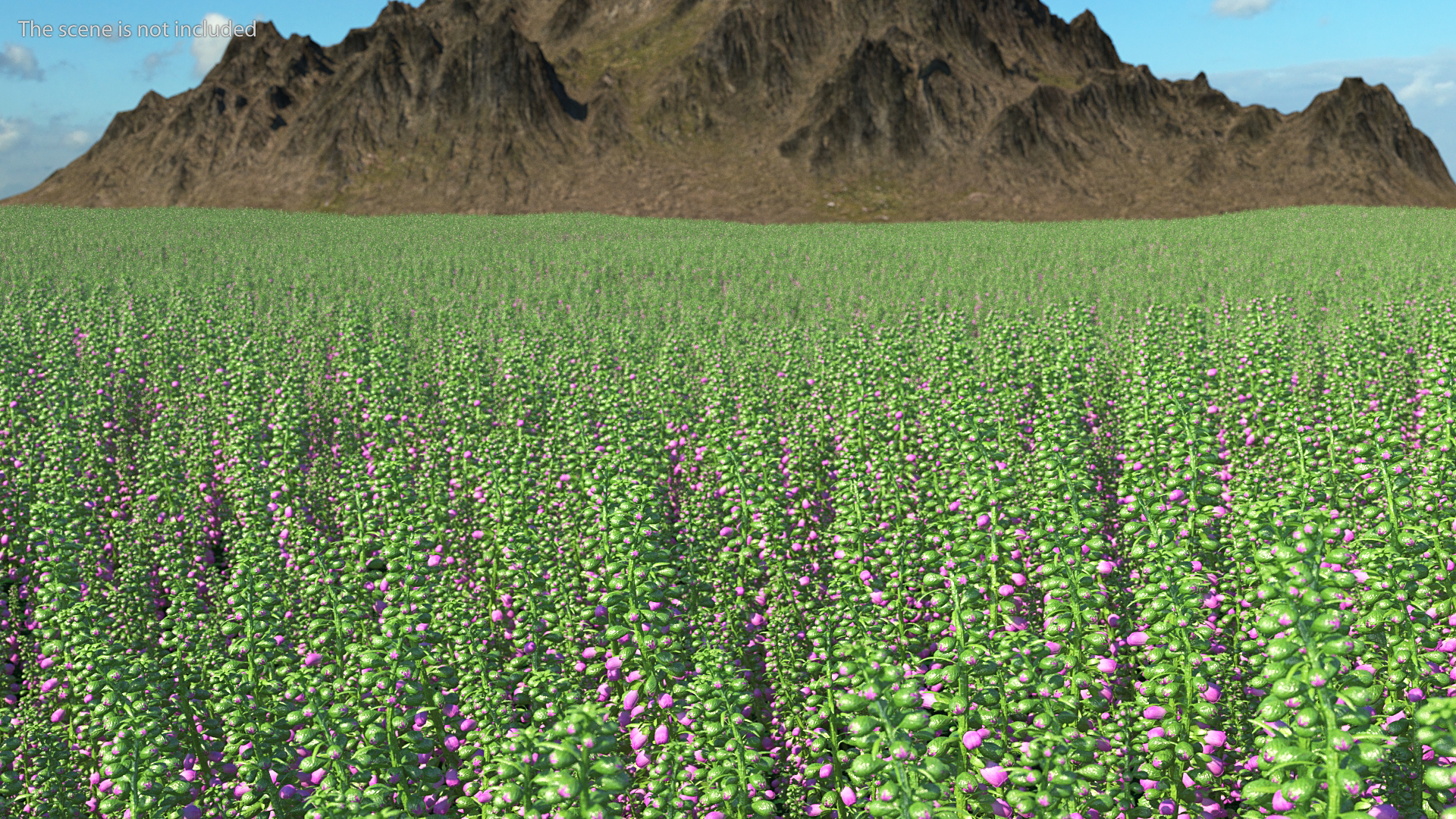 3D model Purple Foxglove Stem