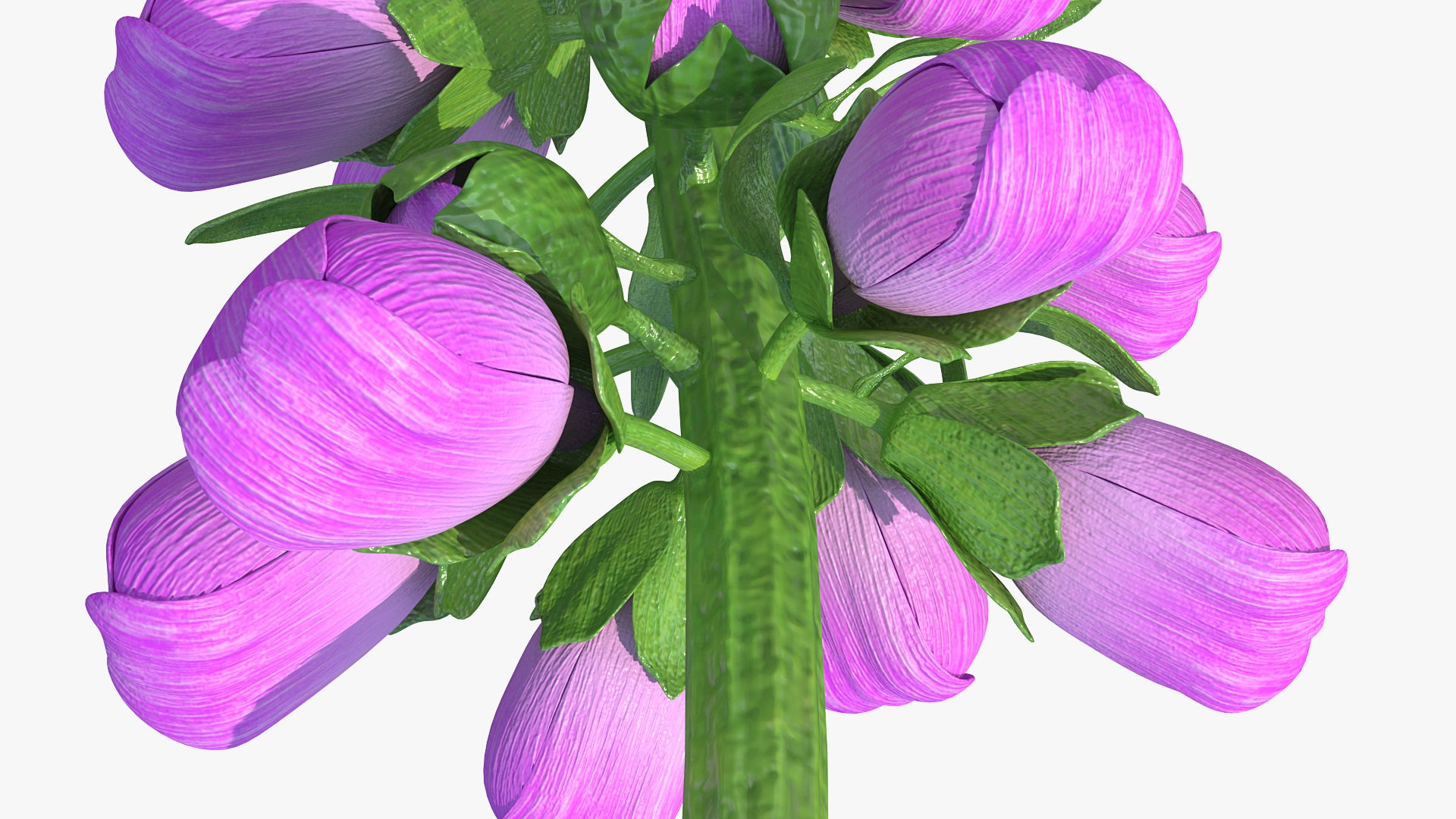 3D model Purple Foxglove Stem