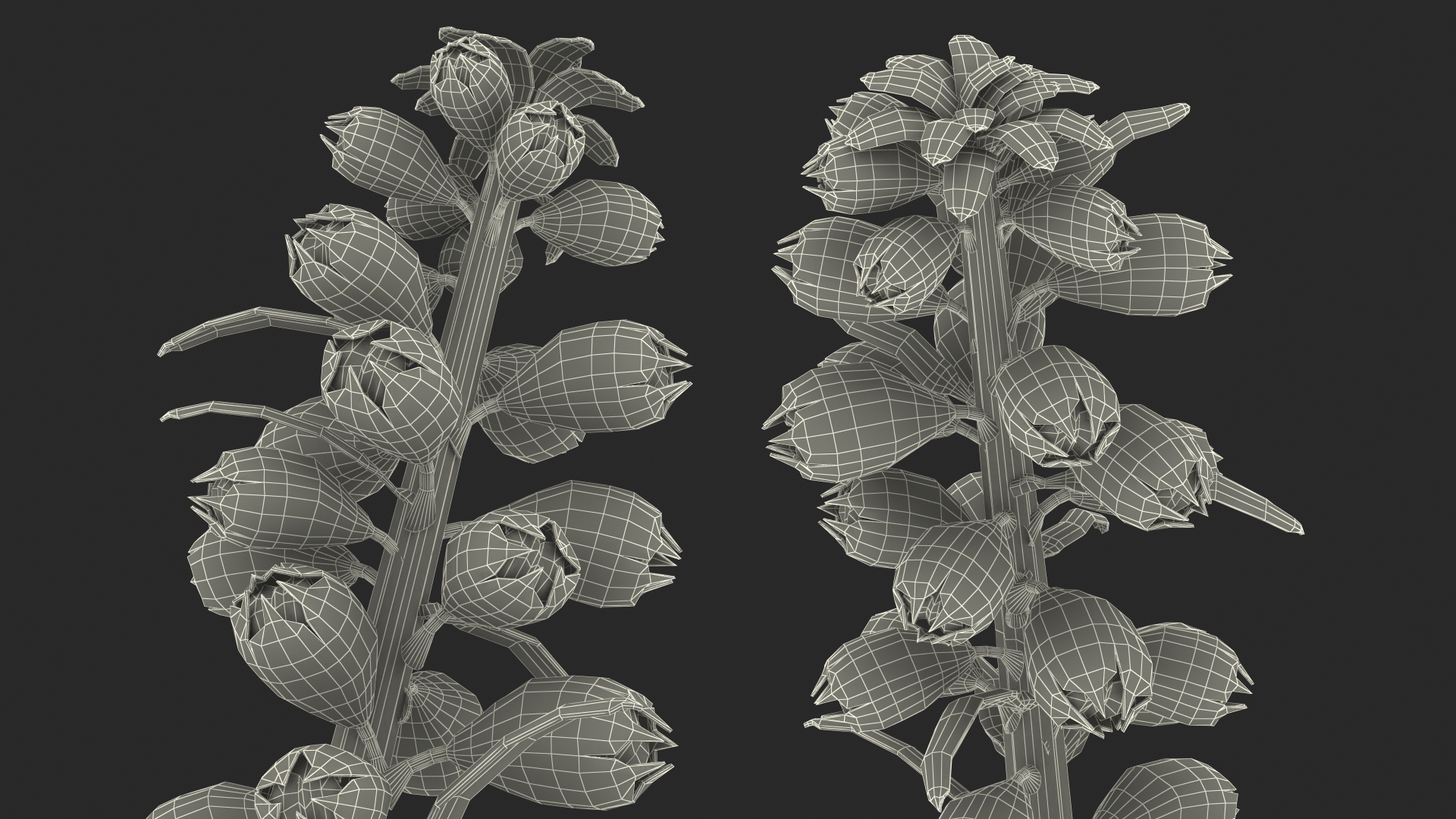 3D model Purple Foxglove Stem