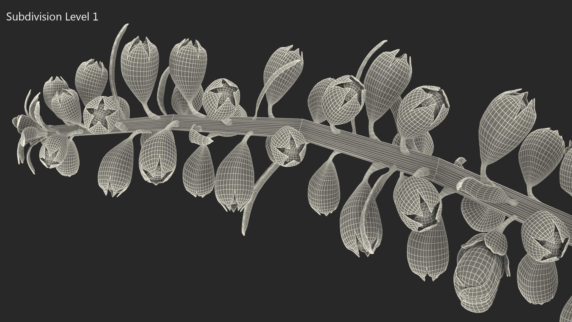 3D model Purple Foxglove Stem