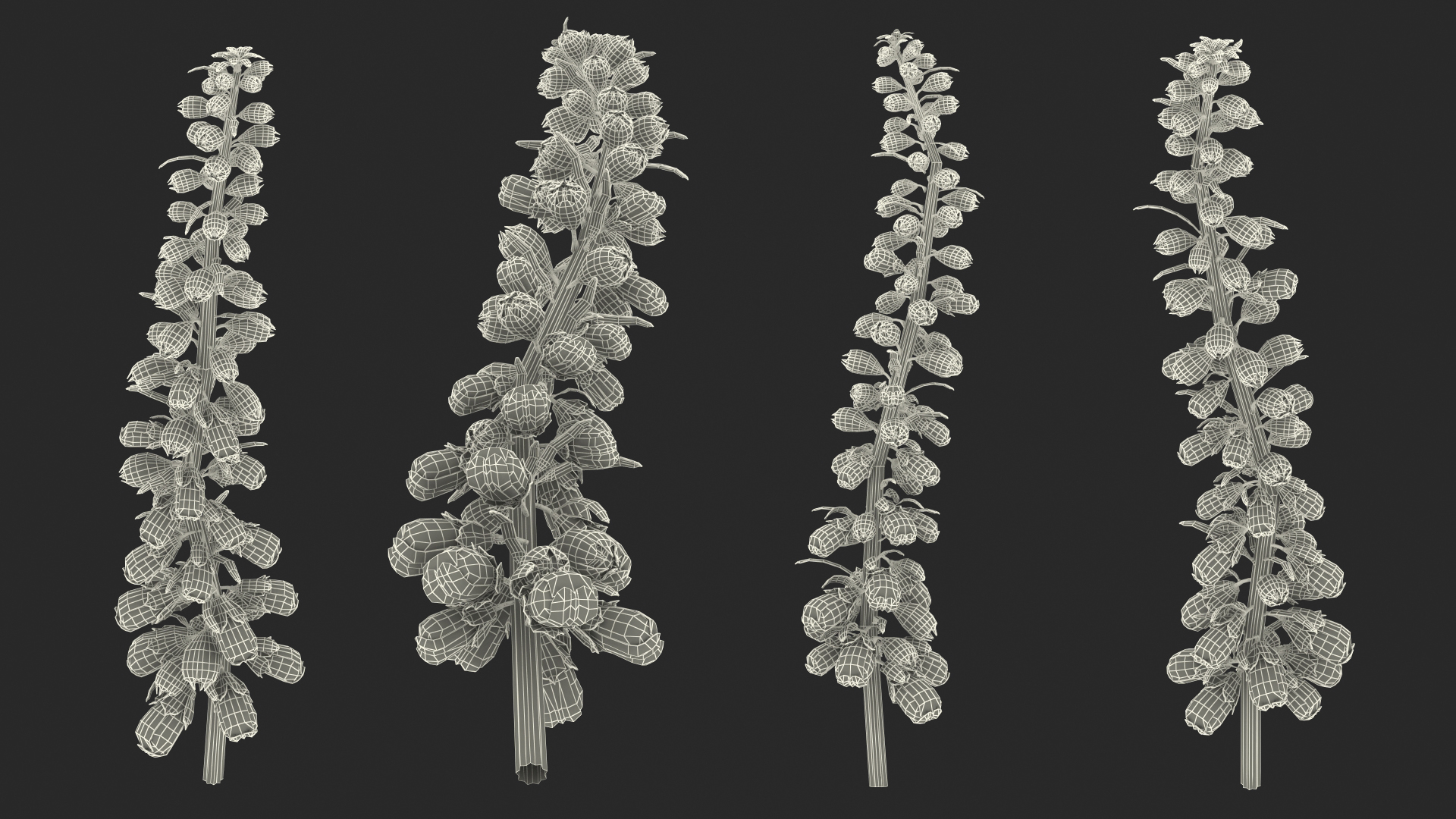 3D model Purple Foxglove Stem