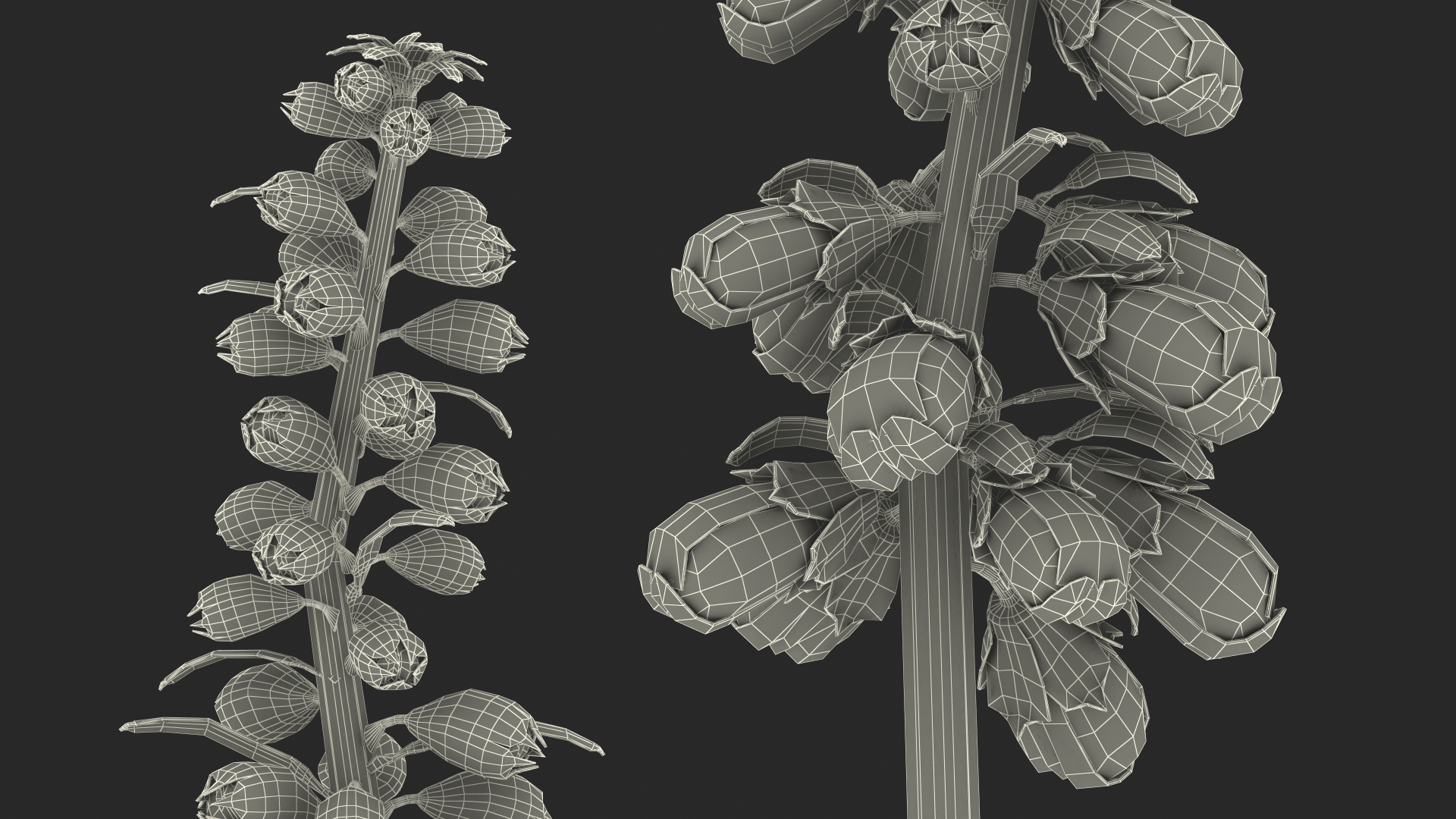 3D model Purple Foxglove Stem