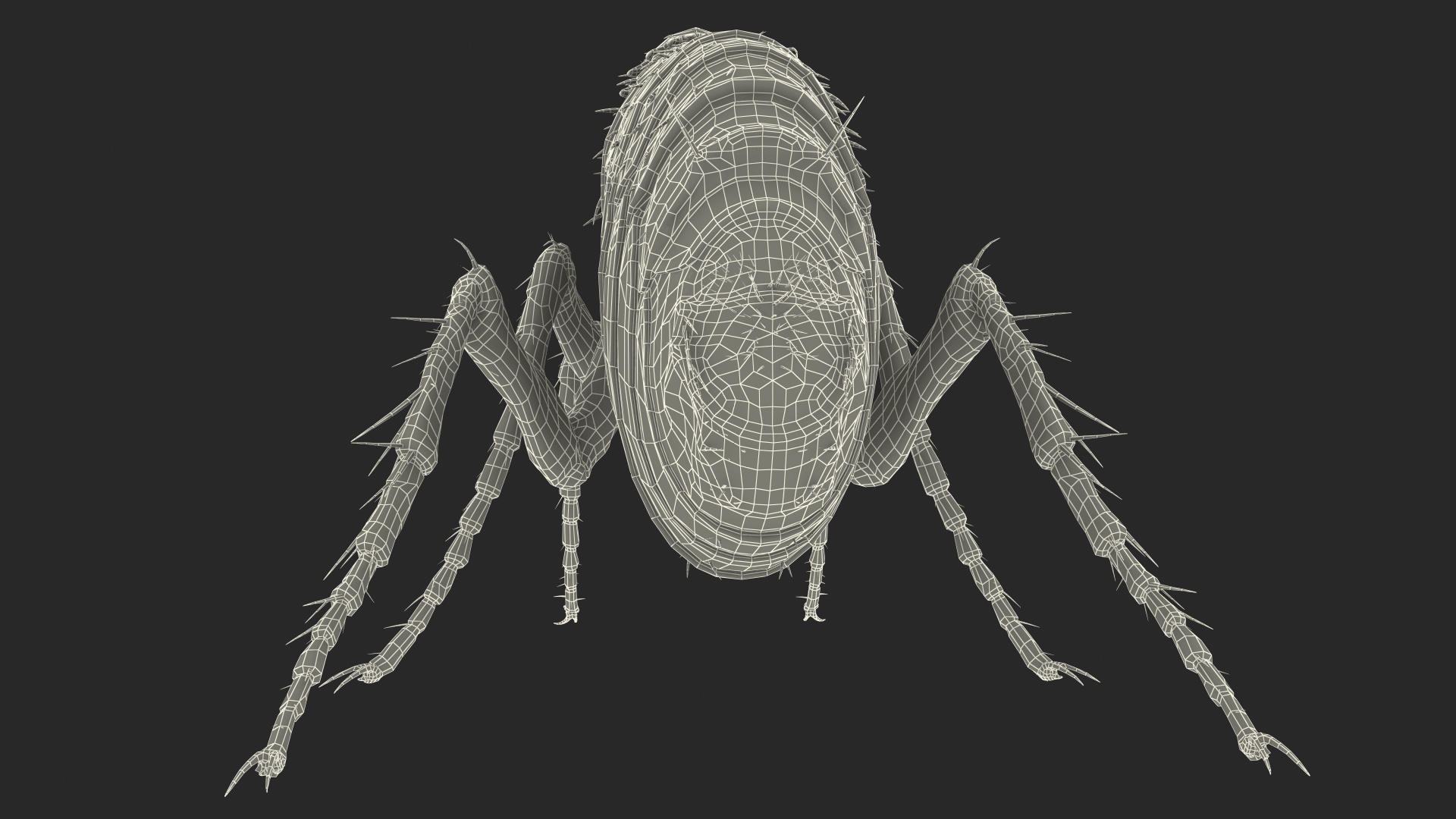 3D Flea Standing Pose model