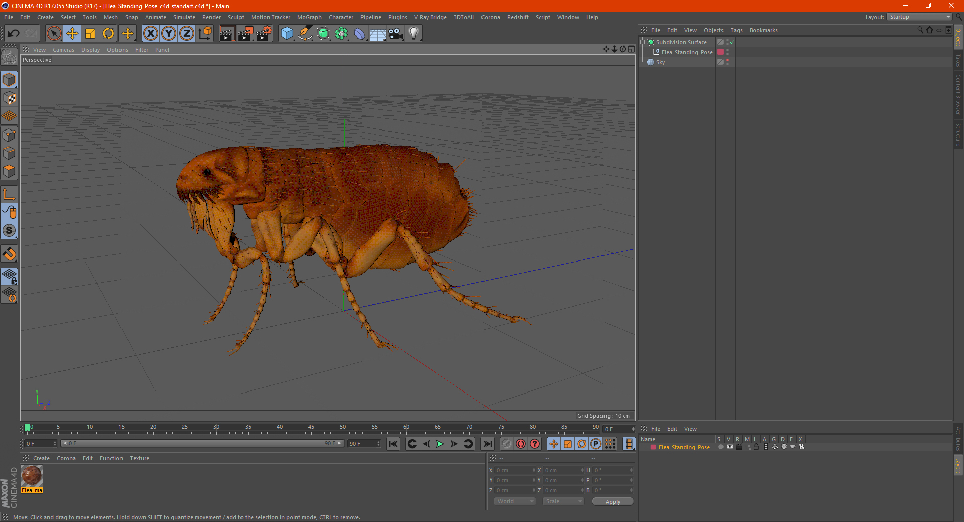 3D Flea Standing Pose model