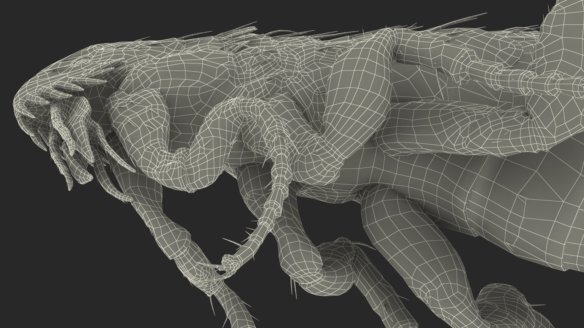 3D Flea Standing Pose model