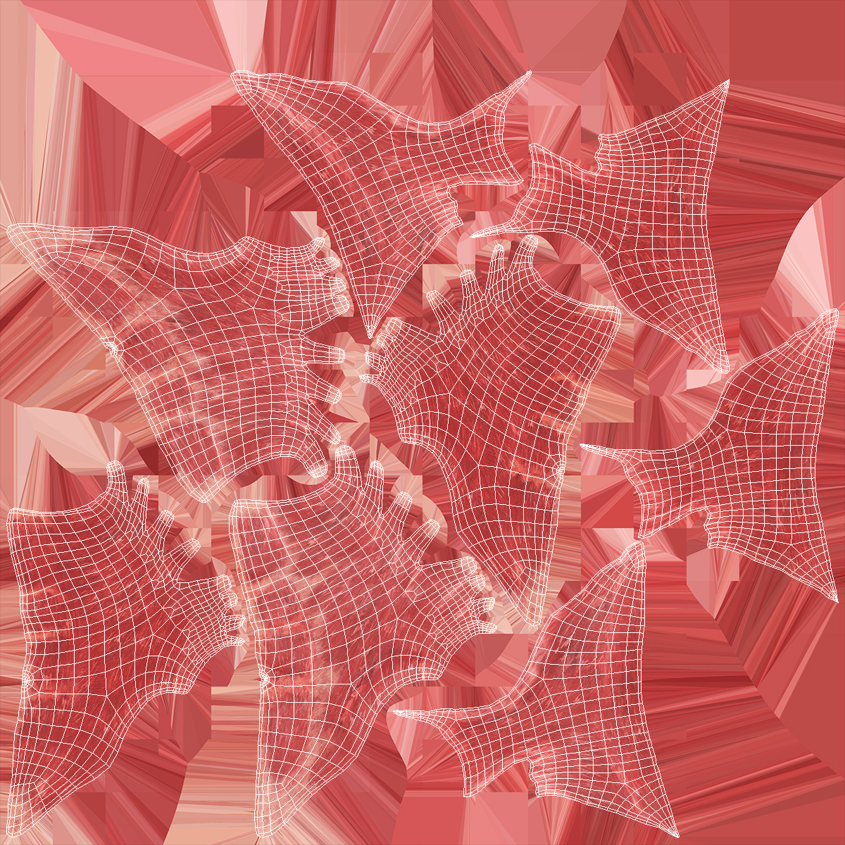 Human Torso Muscular System 3D