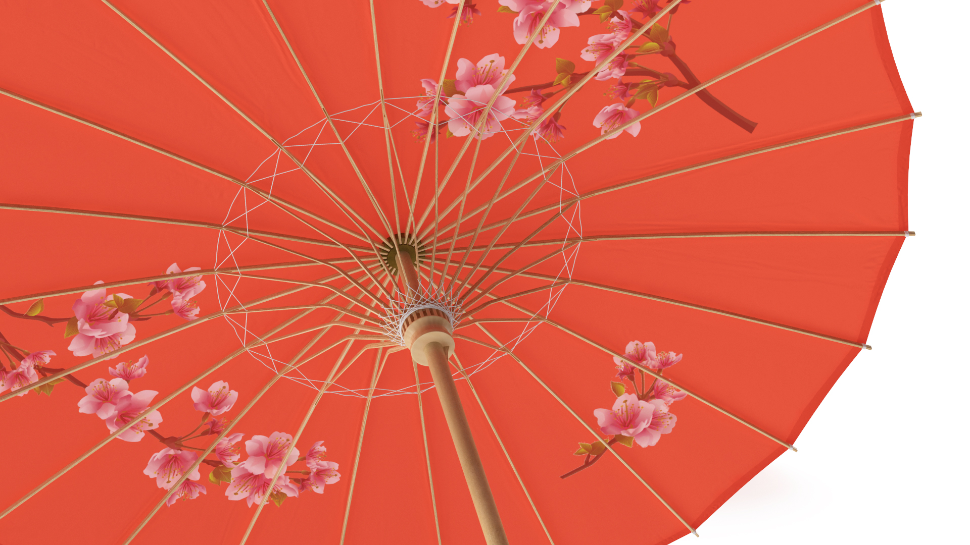 3D model Chinese Umbrella Red Open