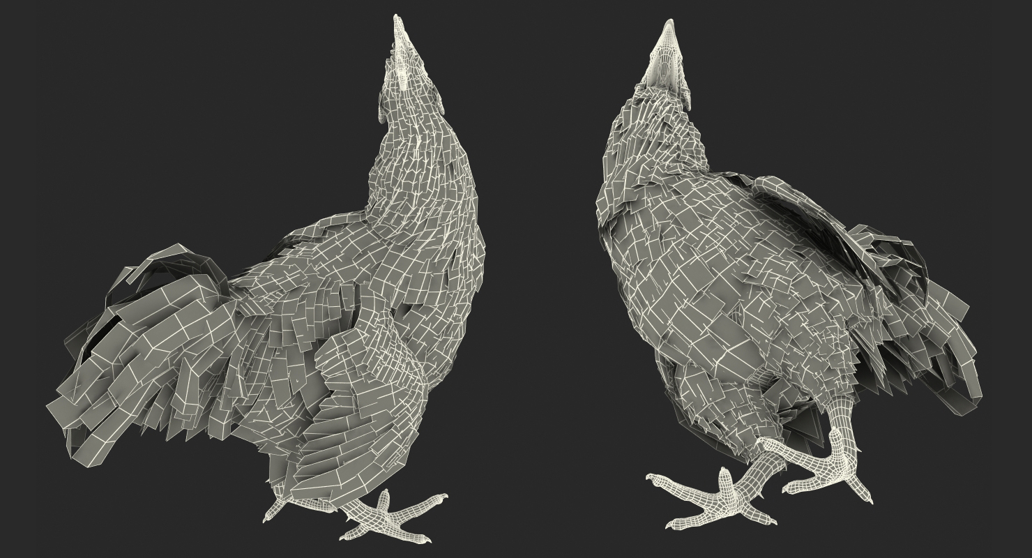 3D Brown Hen Standing model