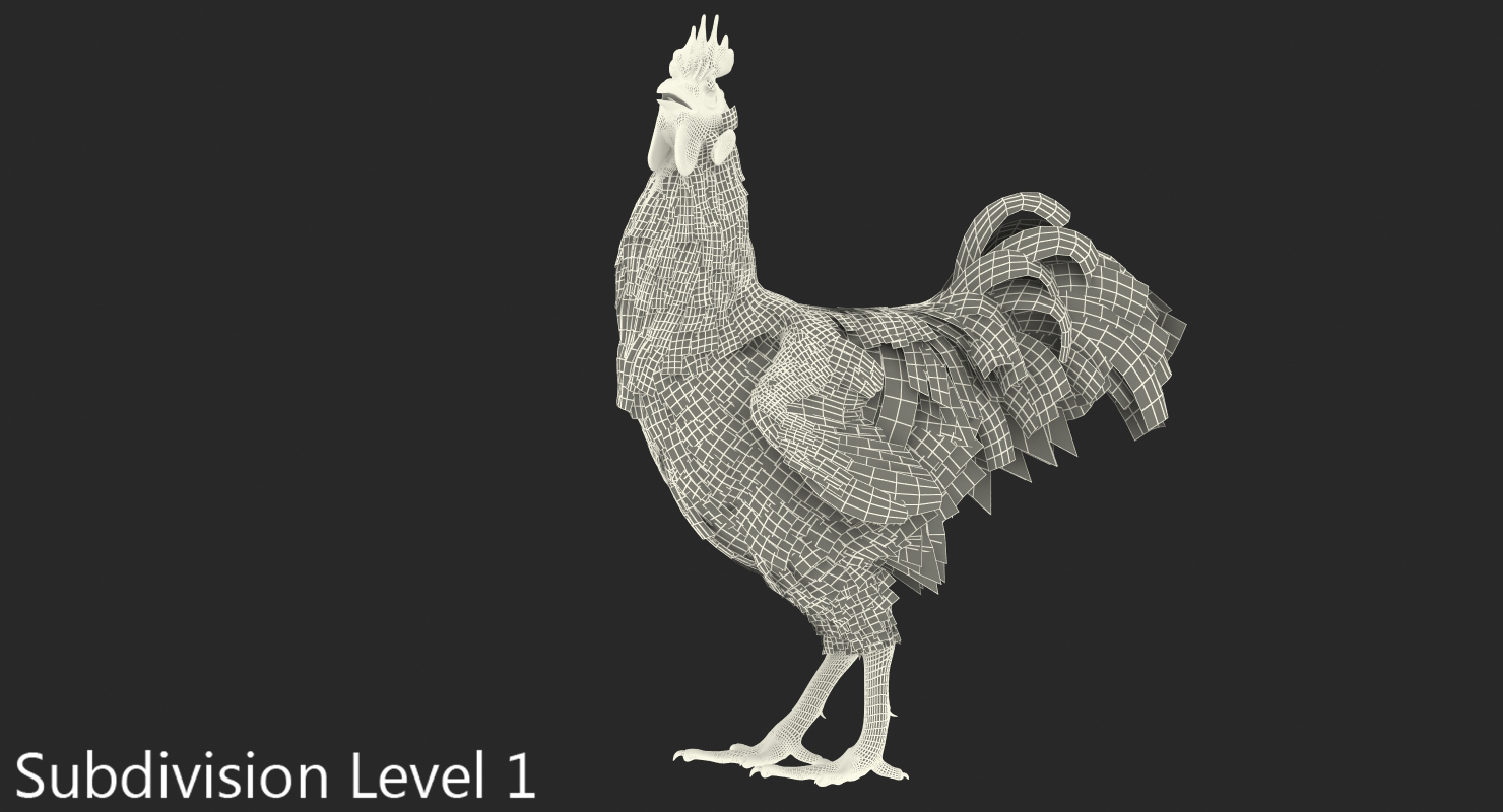 3D Brown Hen Standing model