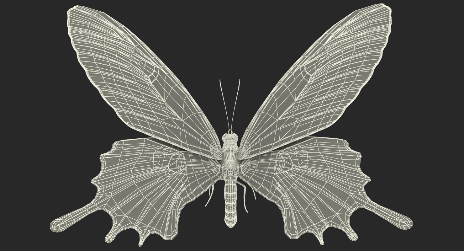 Bhutanitis Lidderdalii or Bhutan Glory Butterfly with Fur 3D