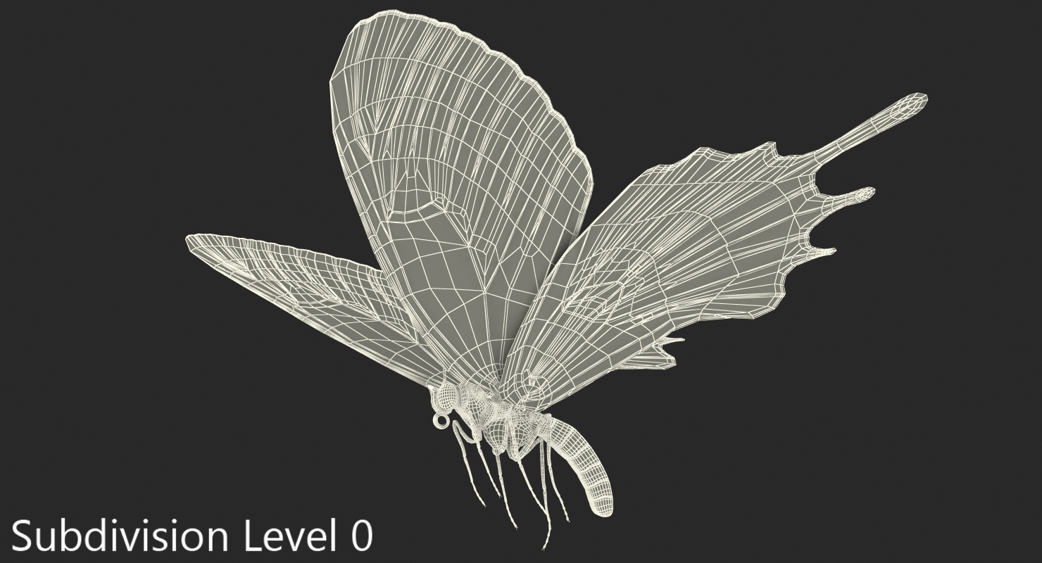 Bhutanitis Lidderdalii or Bhutan Glory Butterfly with Fur 3D