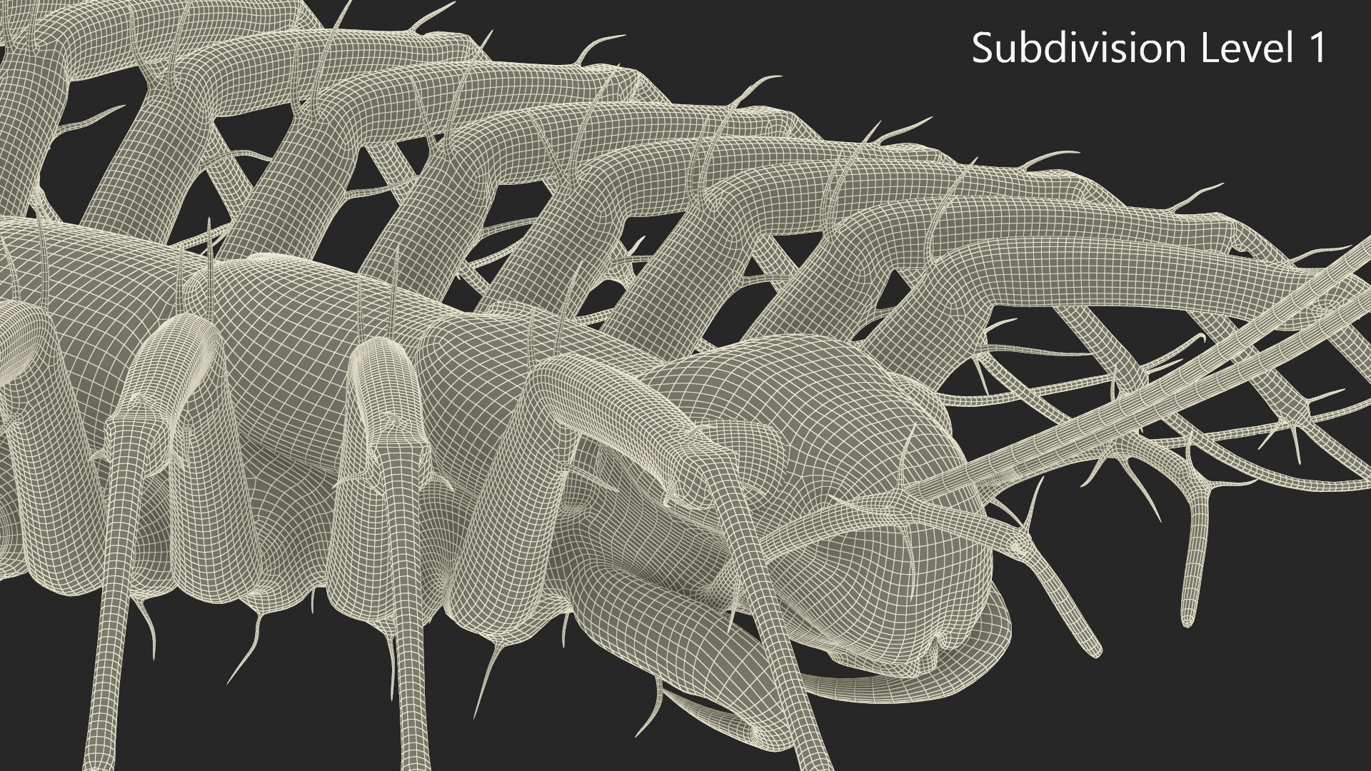 3D House Centipede Fur Rigged