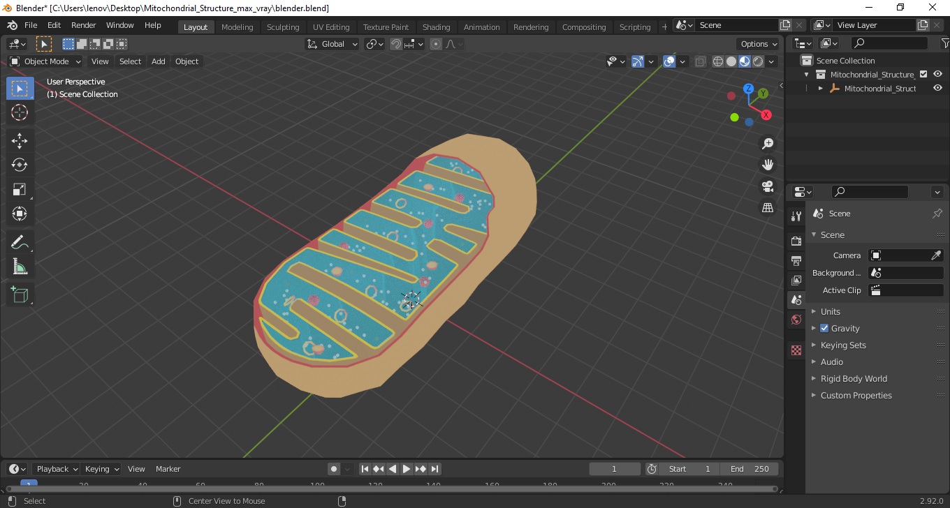 3D Mitochondrial Structure model