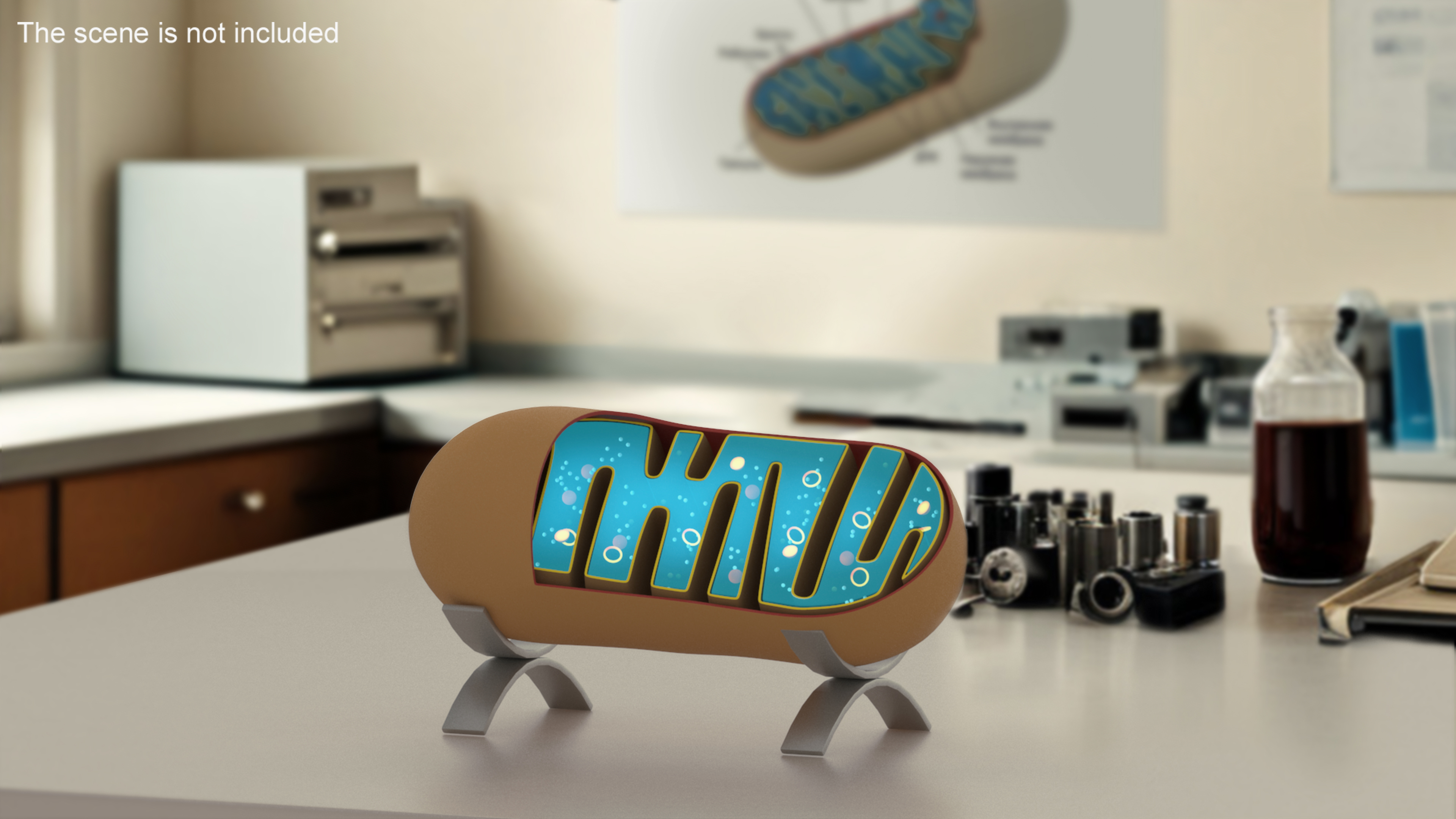 3D Mitochondrial Structure model