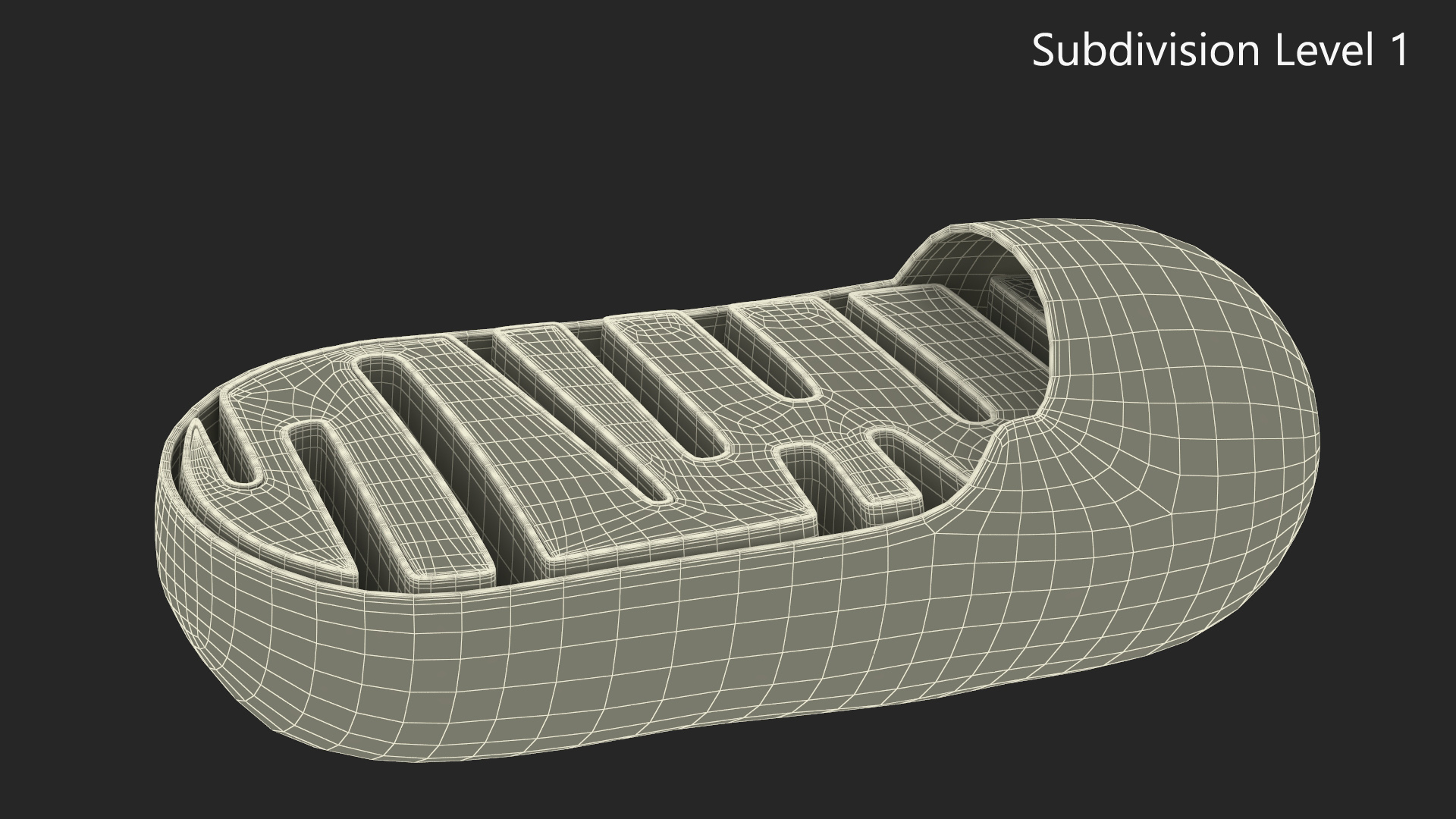 3D Mitochondrial Structure model