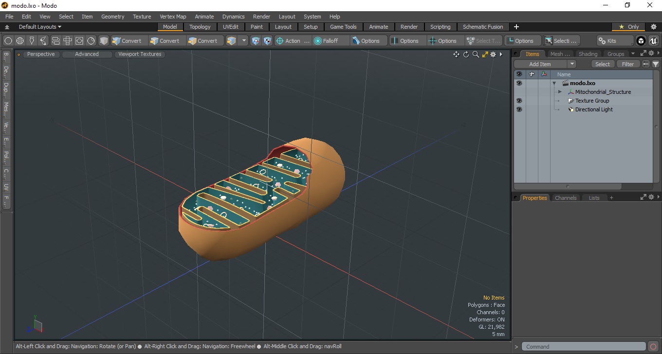 3D Mitochondrial Structure model