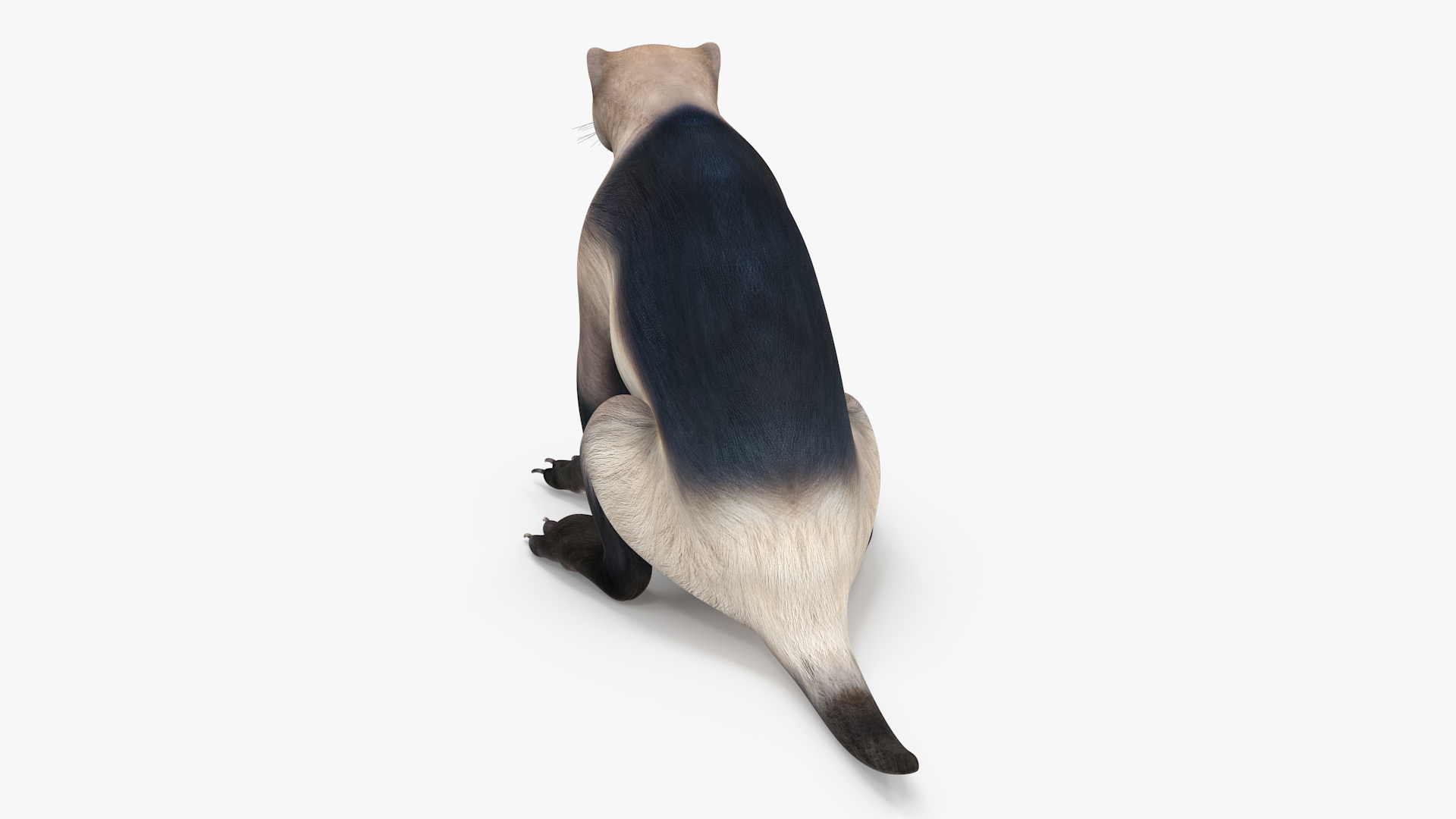 Wolverine Light Color Sitting Pose 3D model