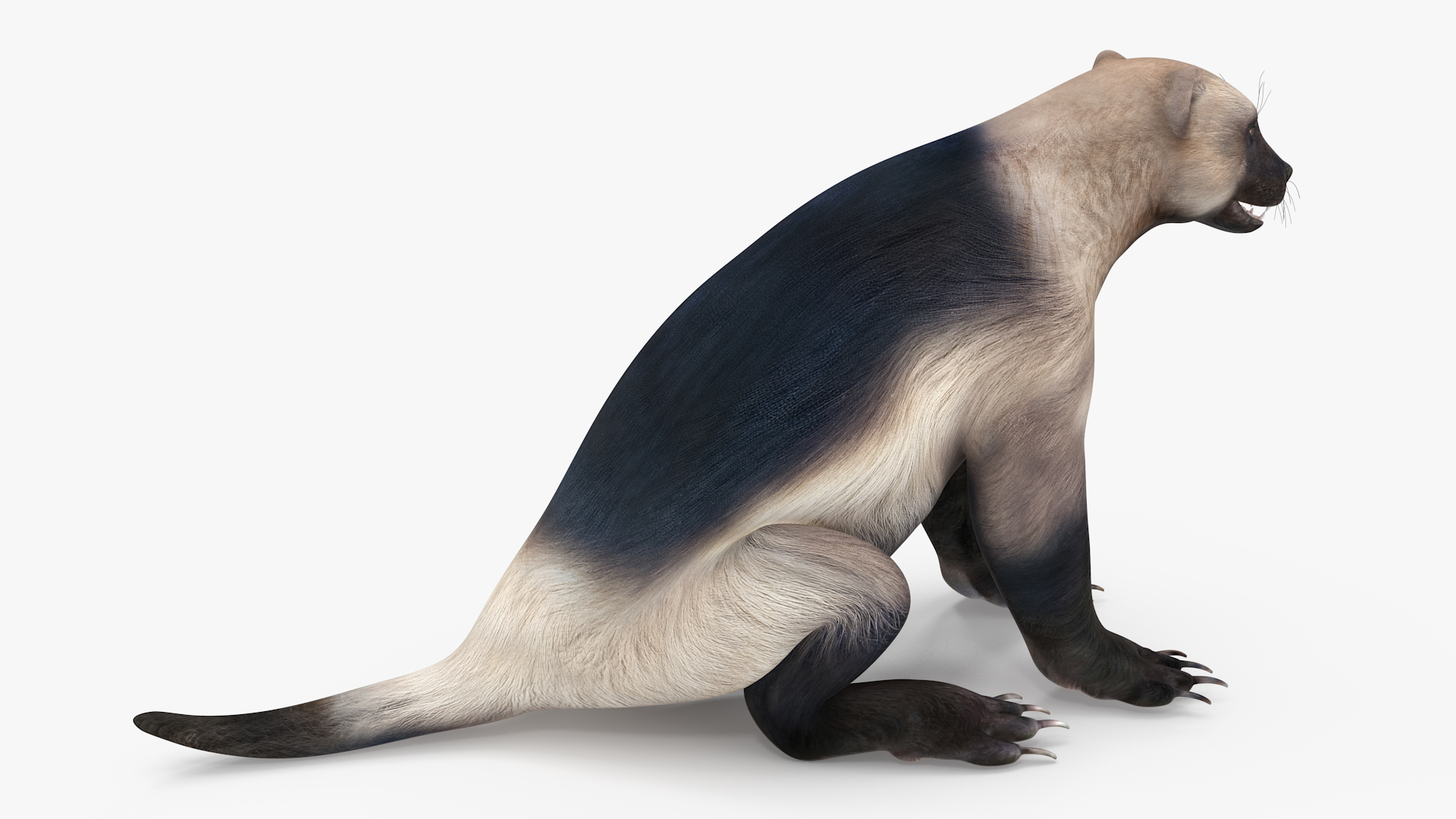 Wolverine Light Color Sitting Pose 3D model