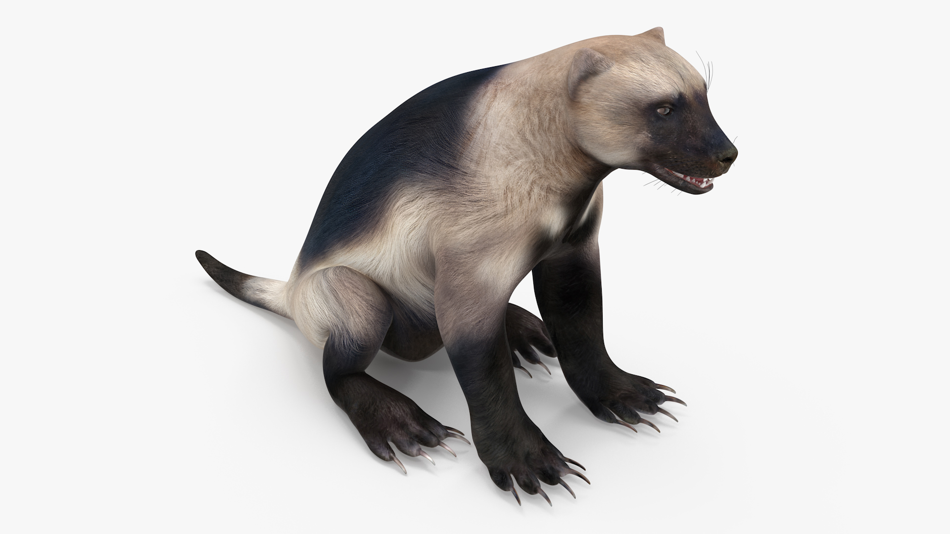 Wolverine Light Color Sitting Pose 3D model