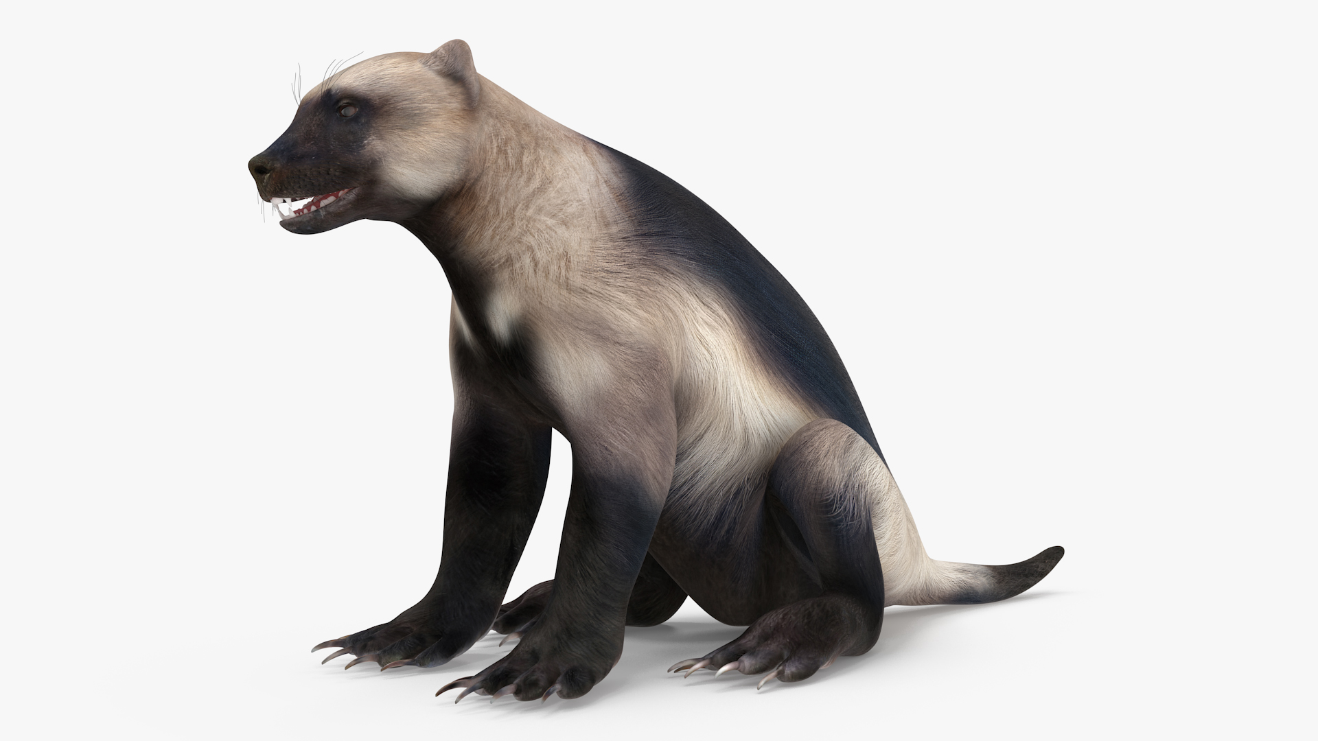 Wolverine Light Color Sitting Pose 3D model