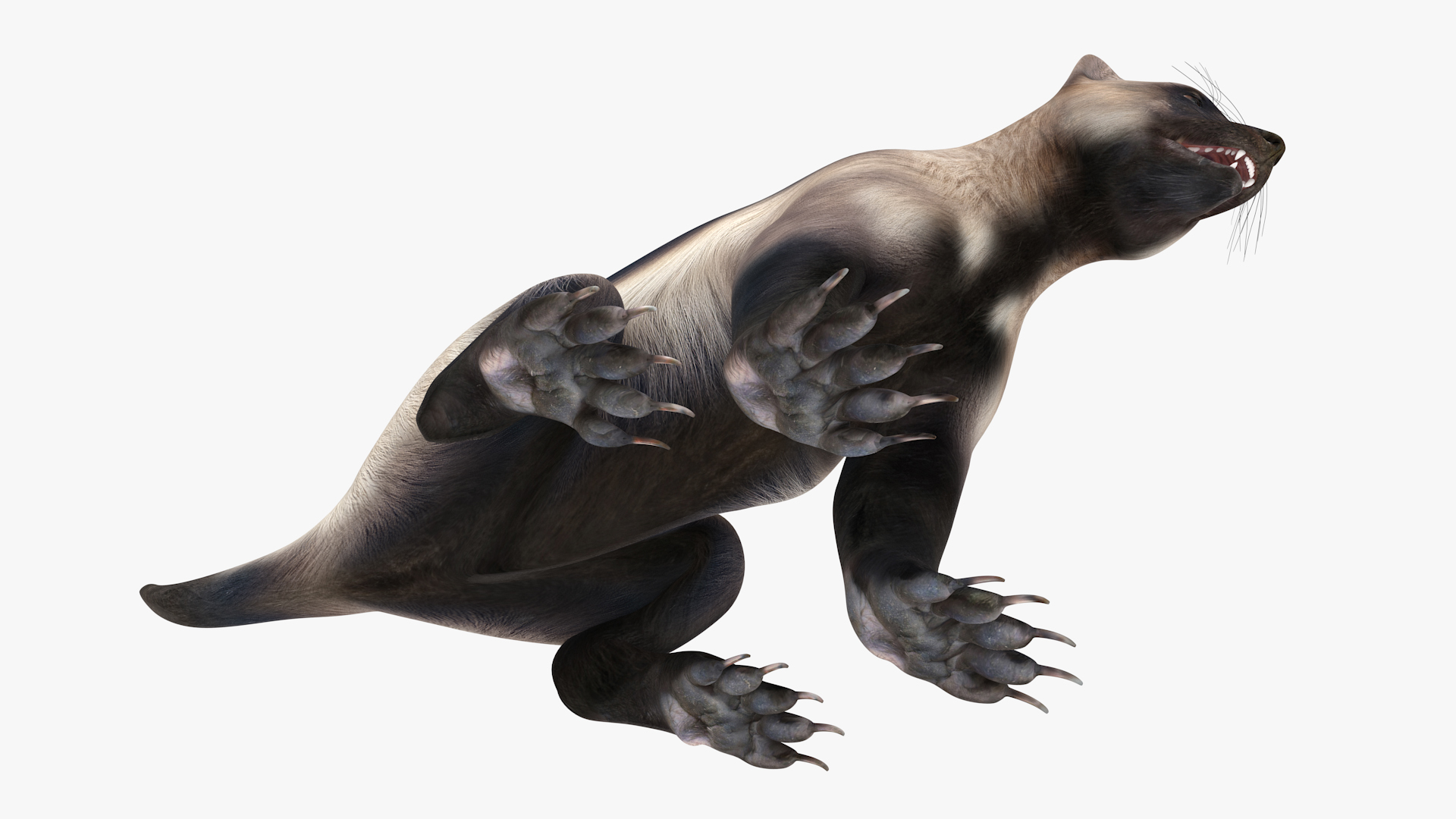 Wolverine Light Color Sitting Pose 3D model