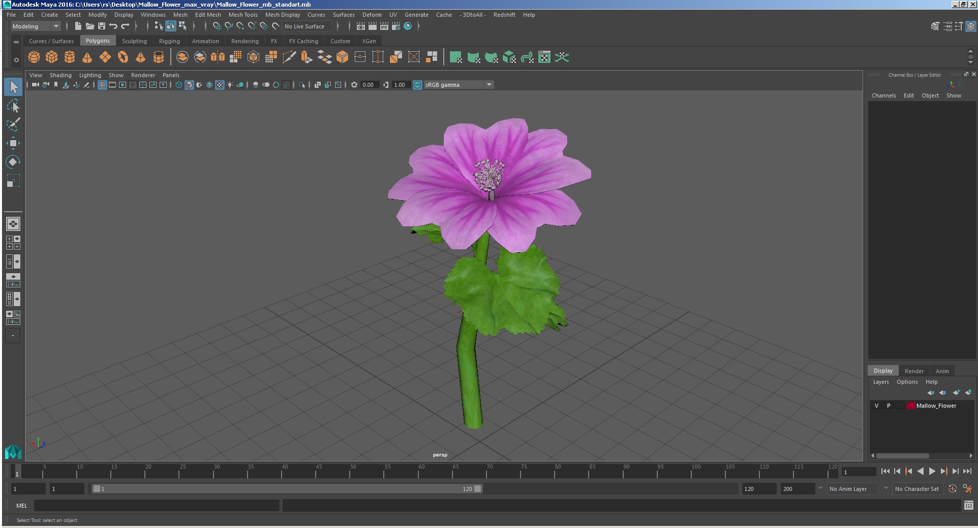 3D Mallow Flower model