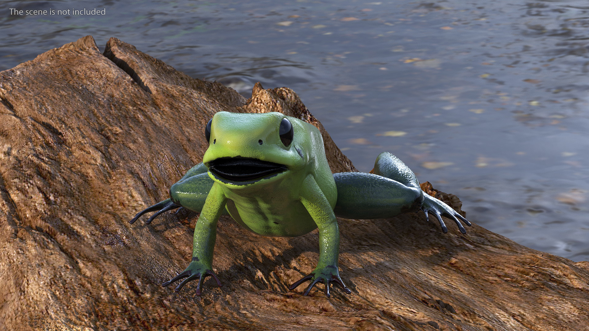 3D Green Morph Dart Frog Rigged model