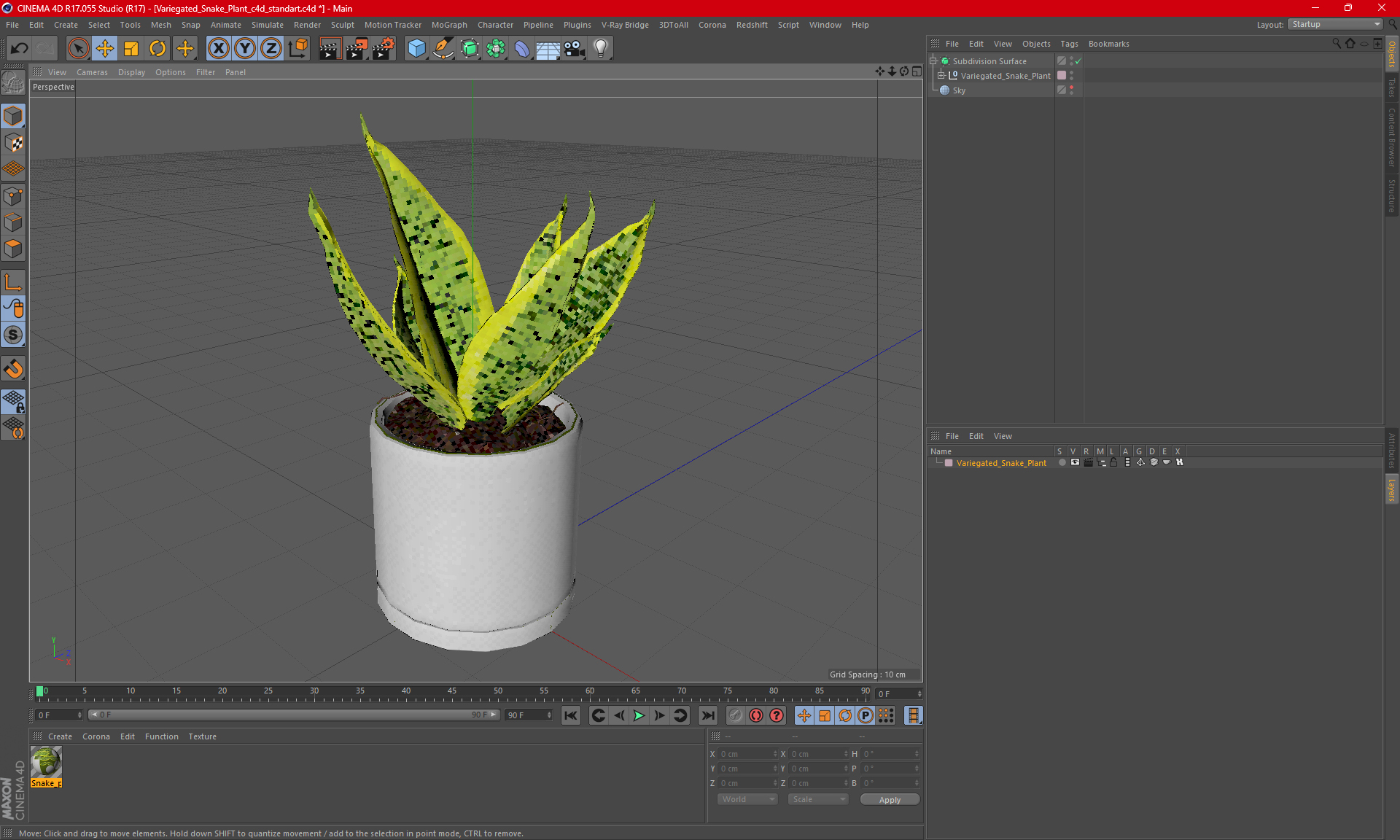 Variegated Snake Plant 3D