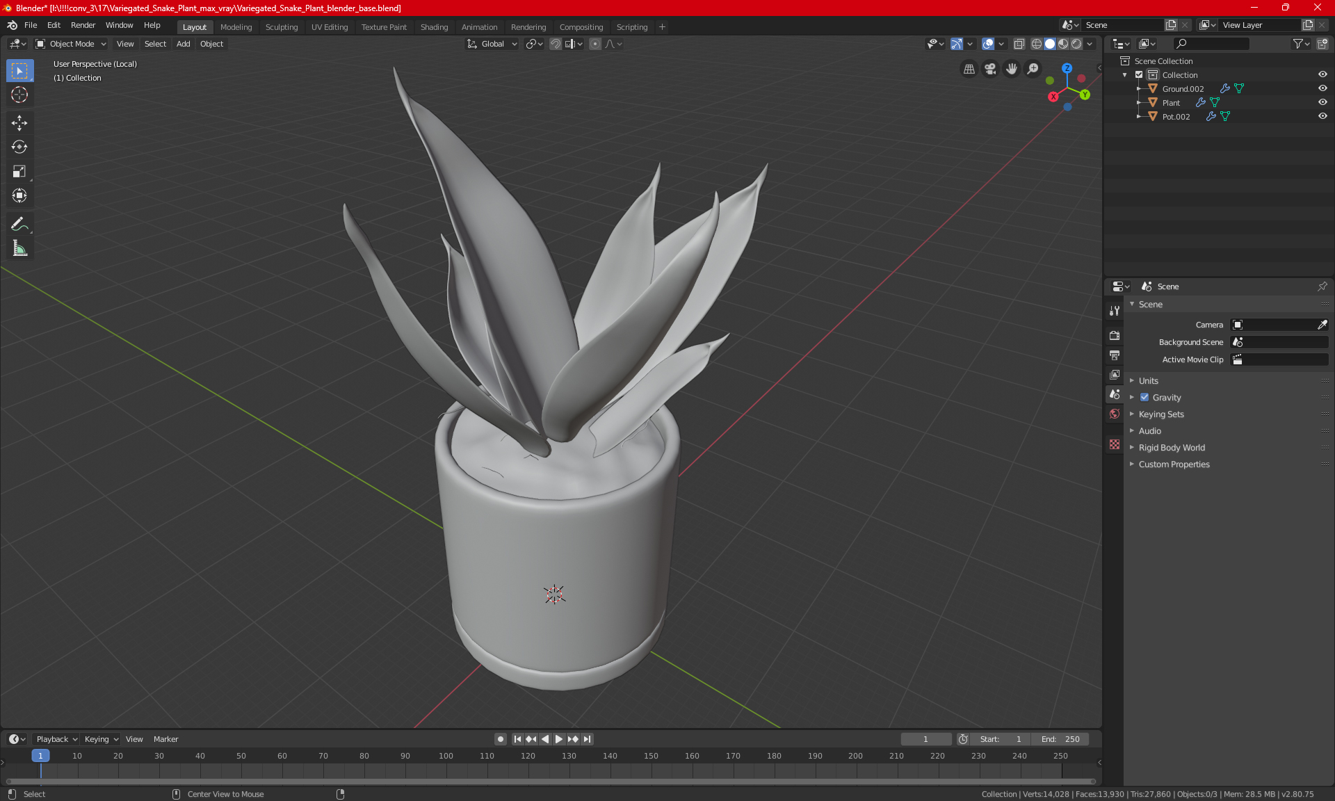 Variegated Snake Plant 3D