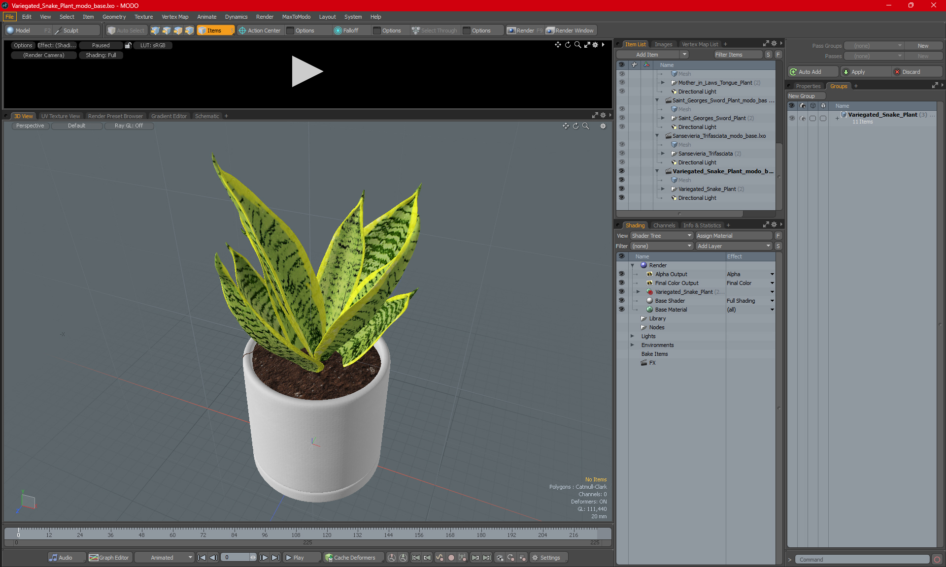 Variegated Snake Plant 3D