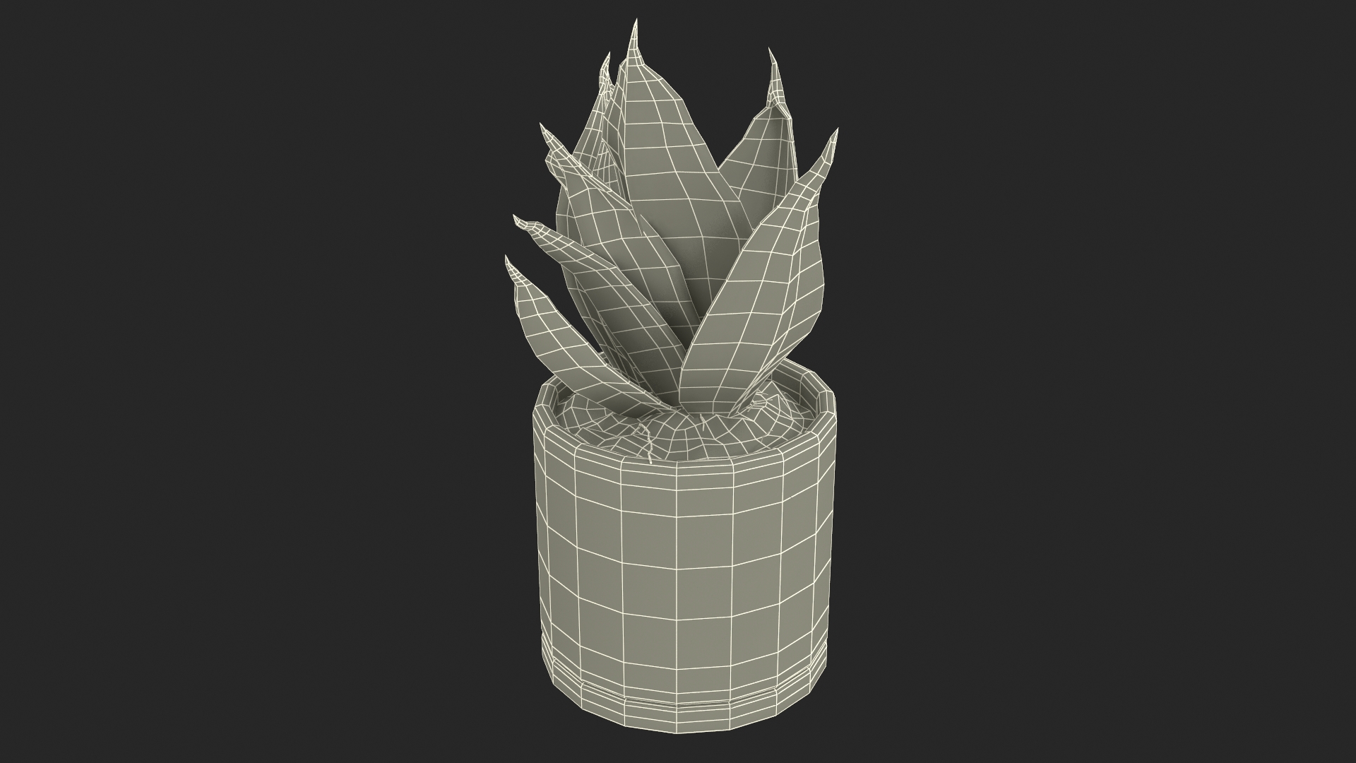 Variegated Snake Plant 3D