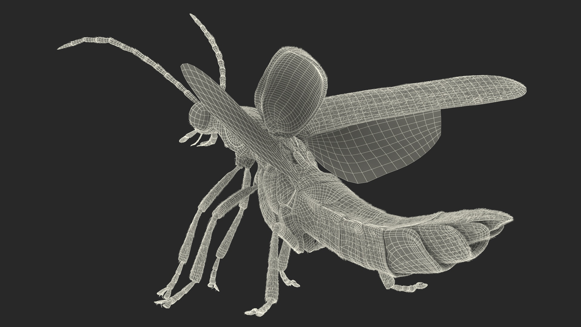 3D Glowing Eastern Firefly Standing Pose Fur