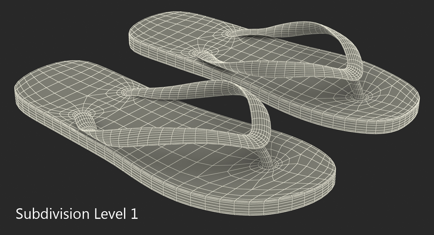 3D model Flip Flops