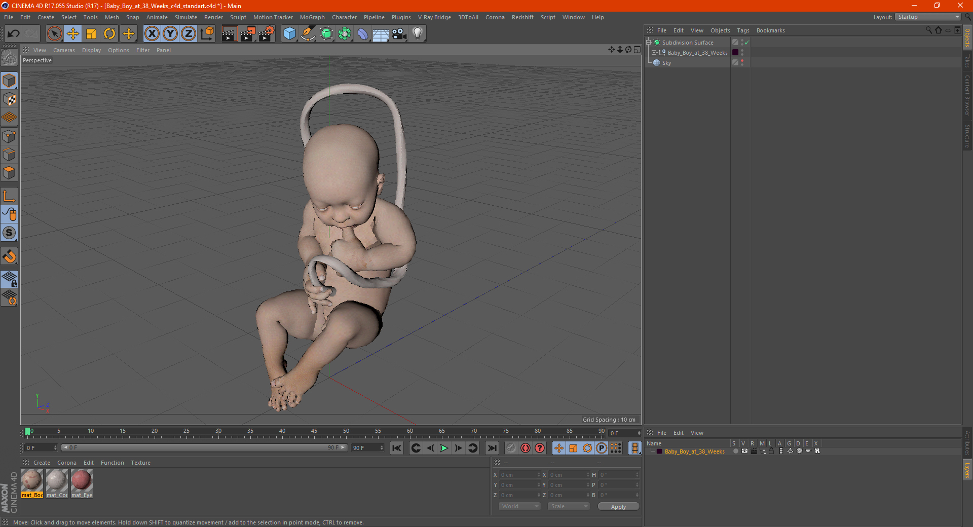 3D model Baby Boy at 38 Weeks