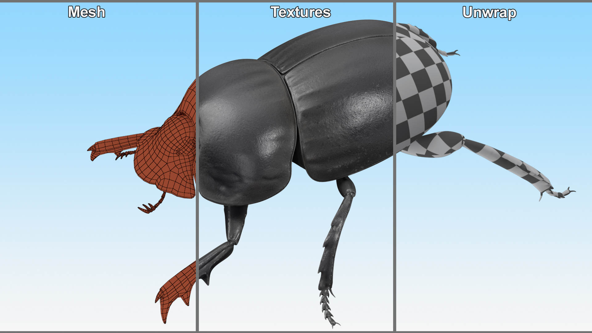 3D model Dung Beetle Standing