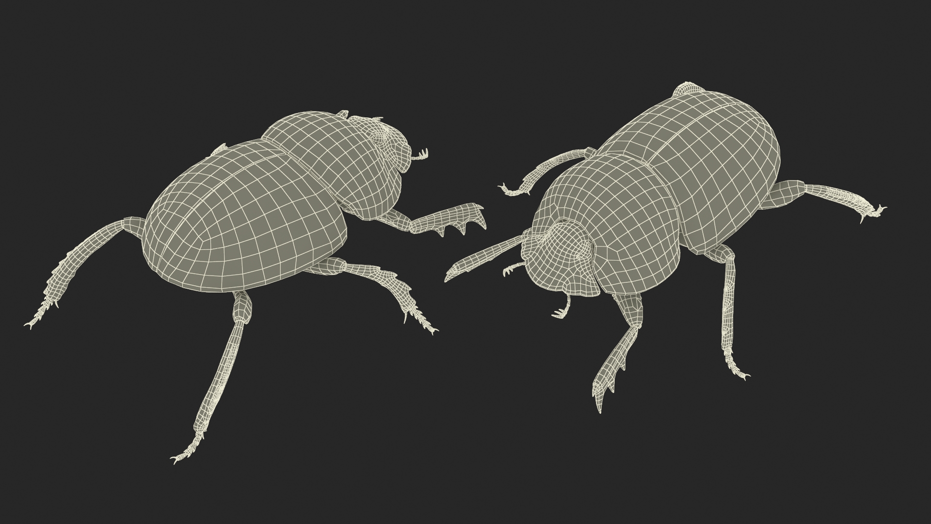 3D model Dung Beetle Standing