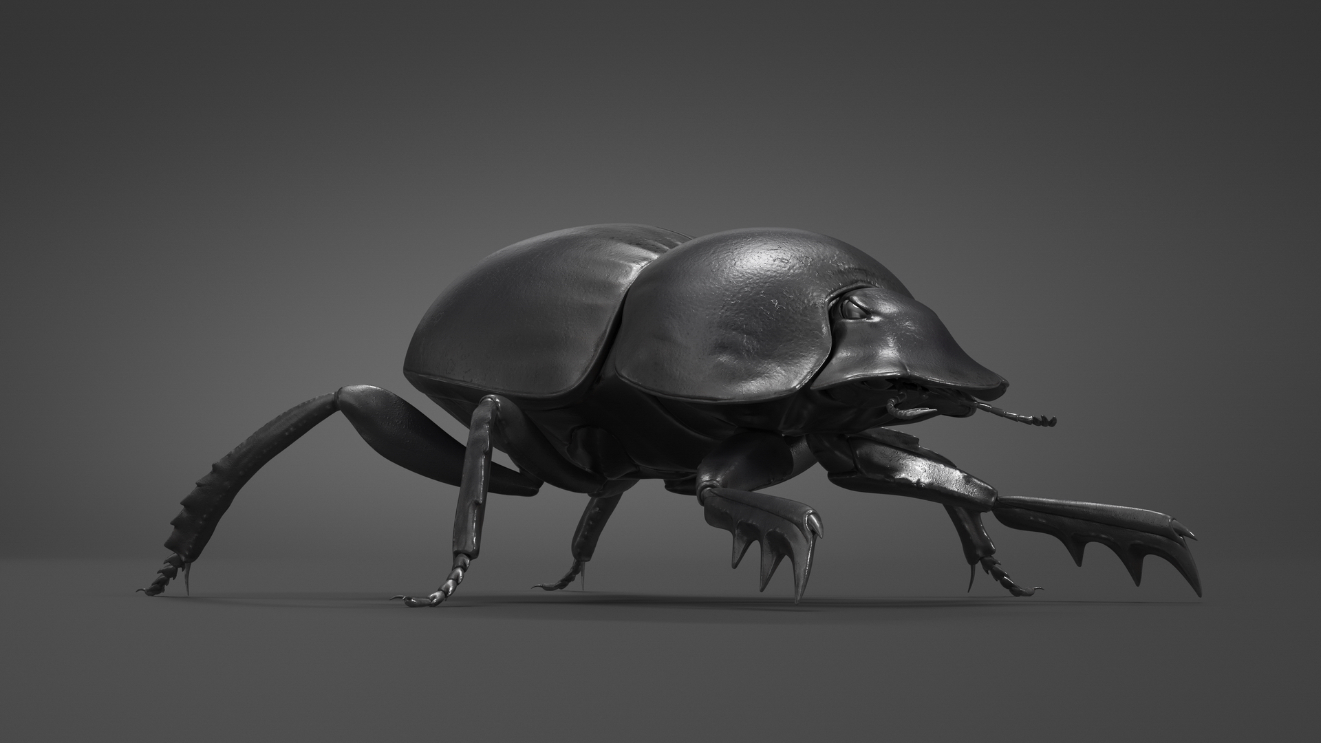 3D model Dung Beetle Standing