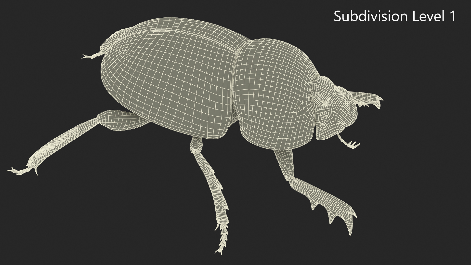 3D model Dung Beetle Standing