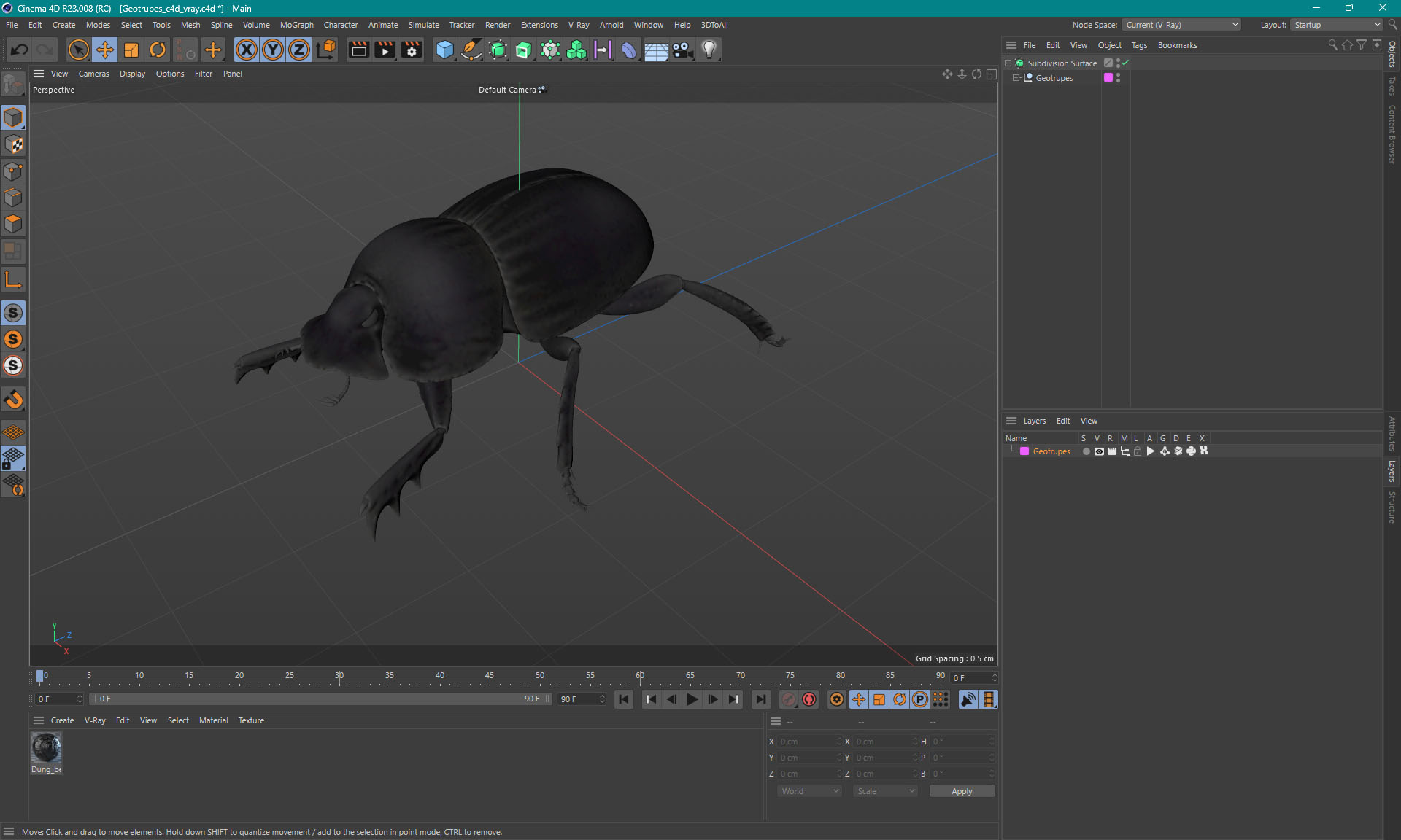 3D model Dung Beetle Standing