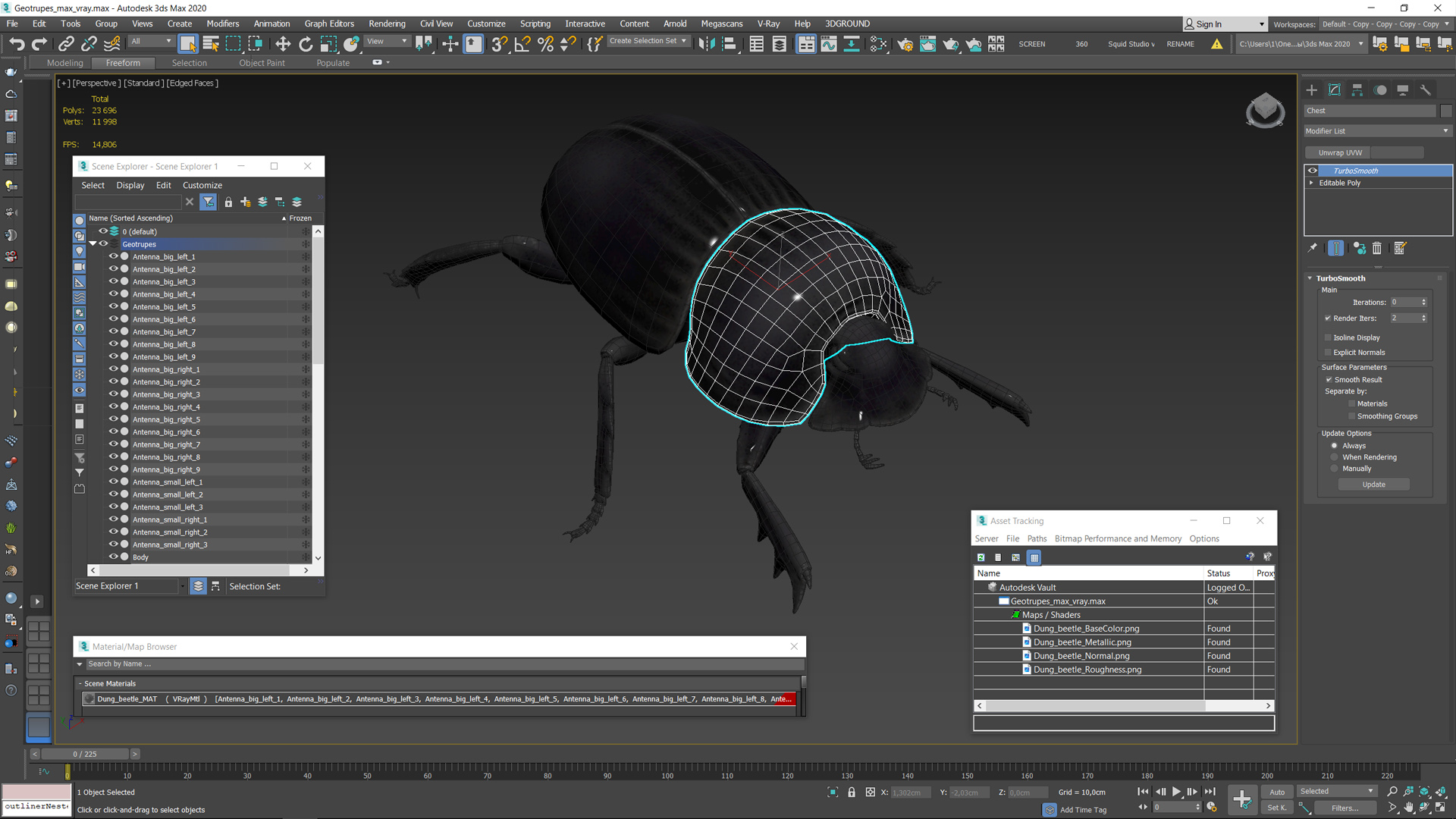3D model Dung Beetle Standing