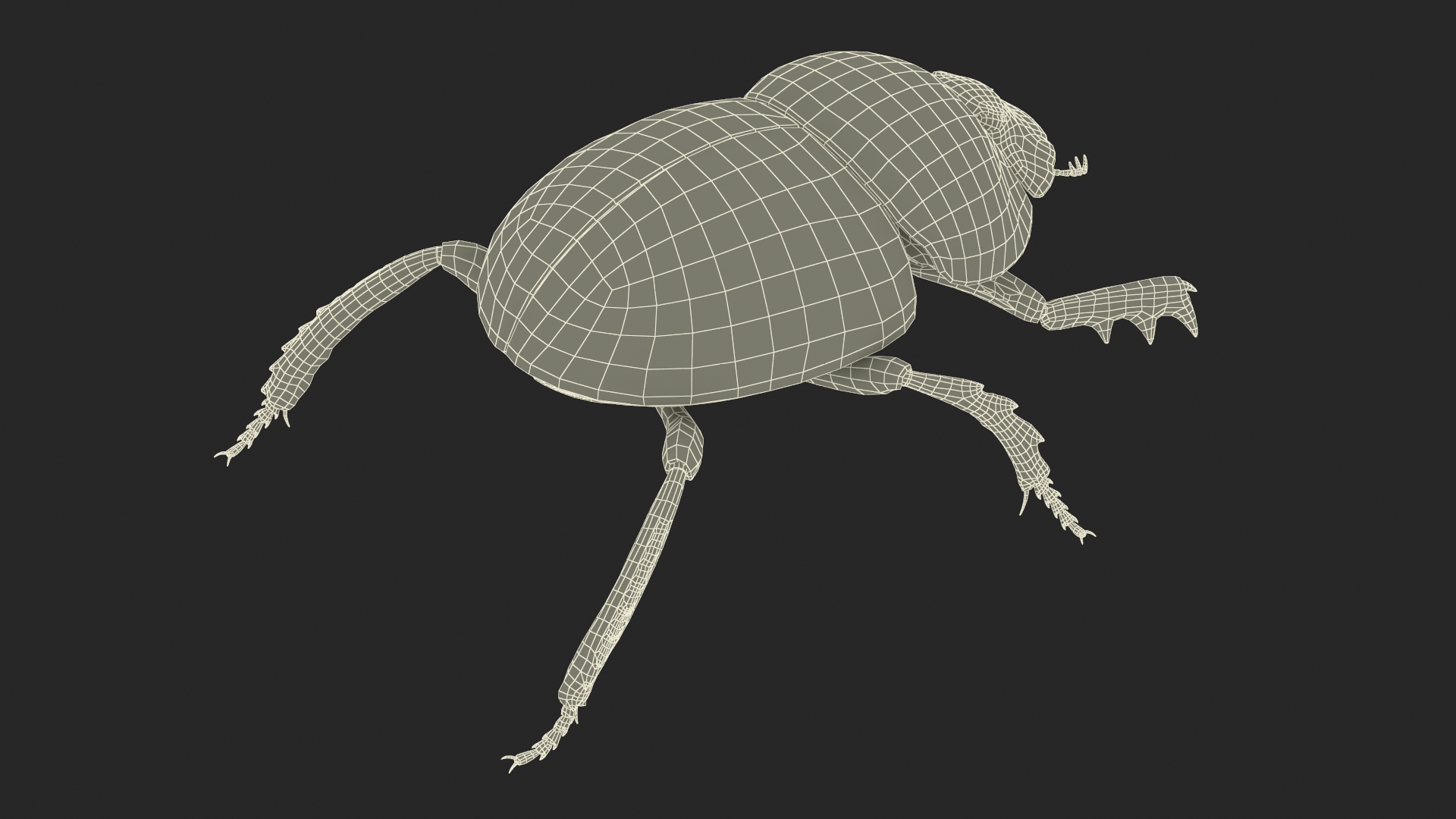 3D model Dung Beetle Standing
