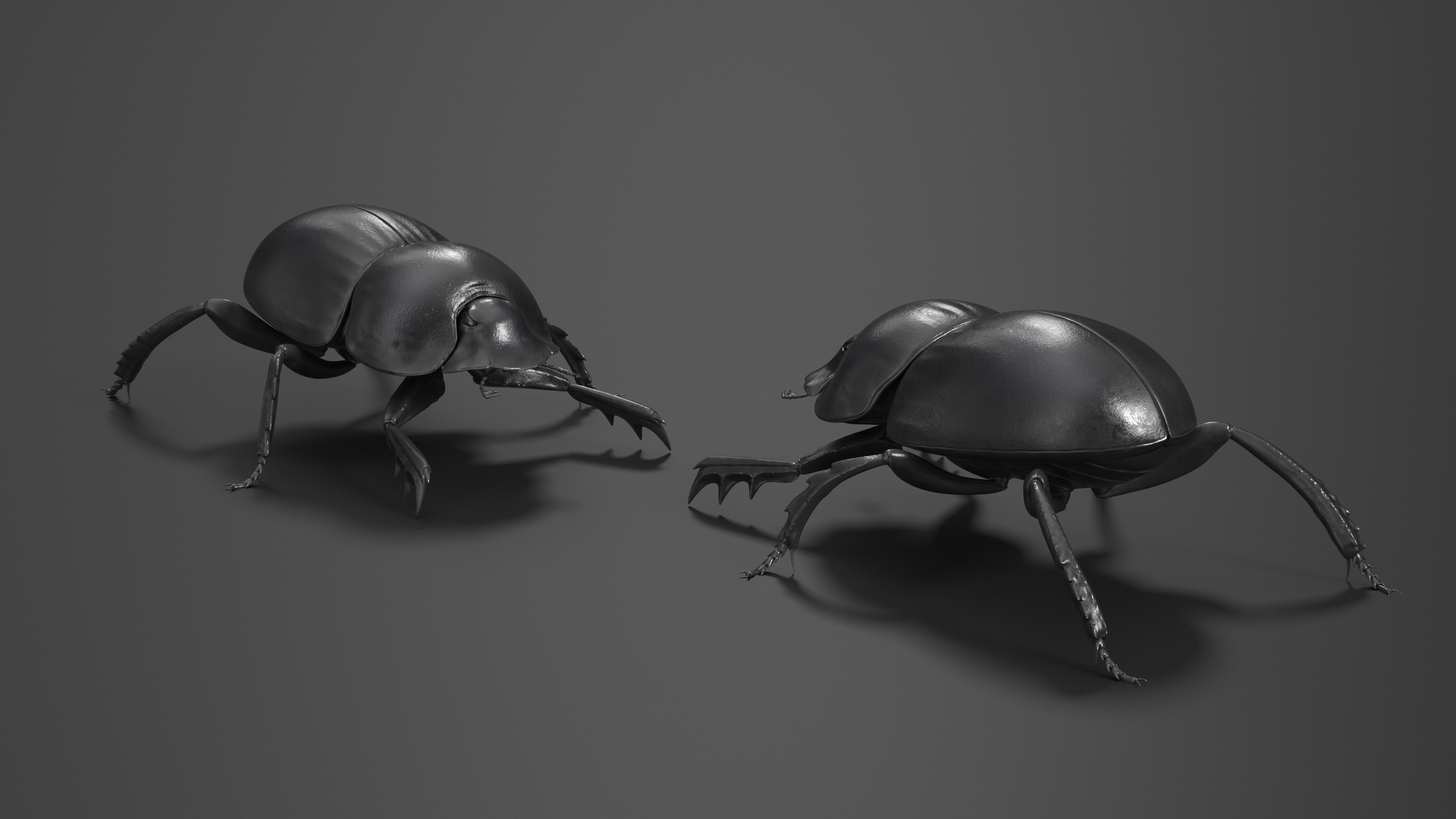 3D model Dung Beetle Standing