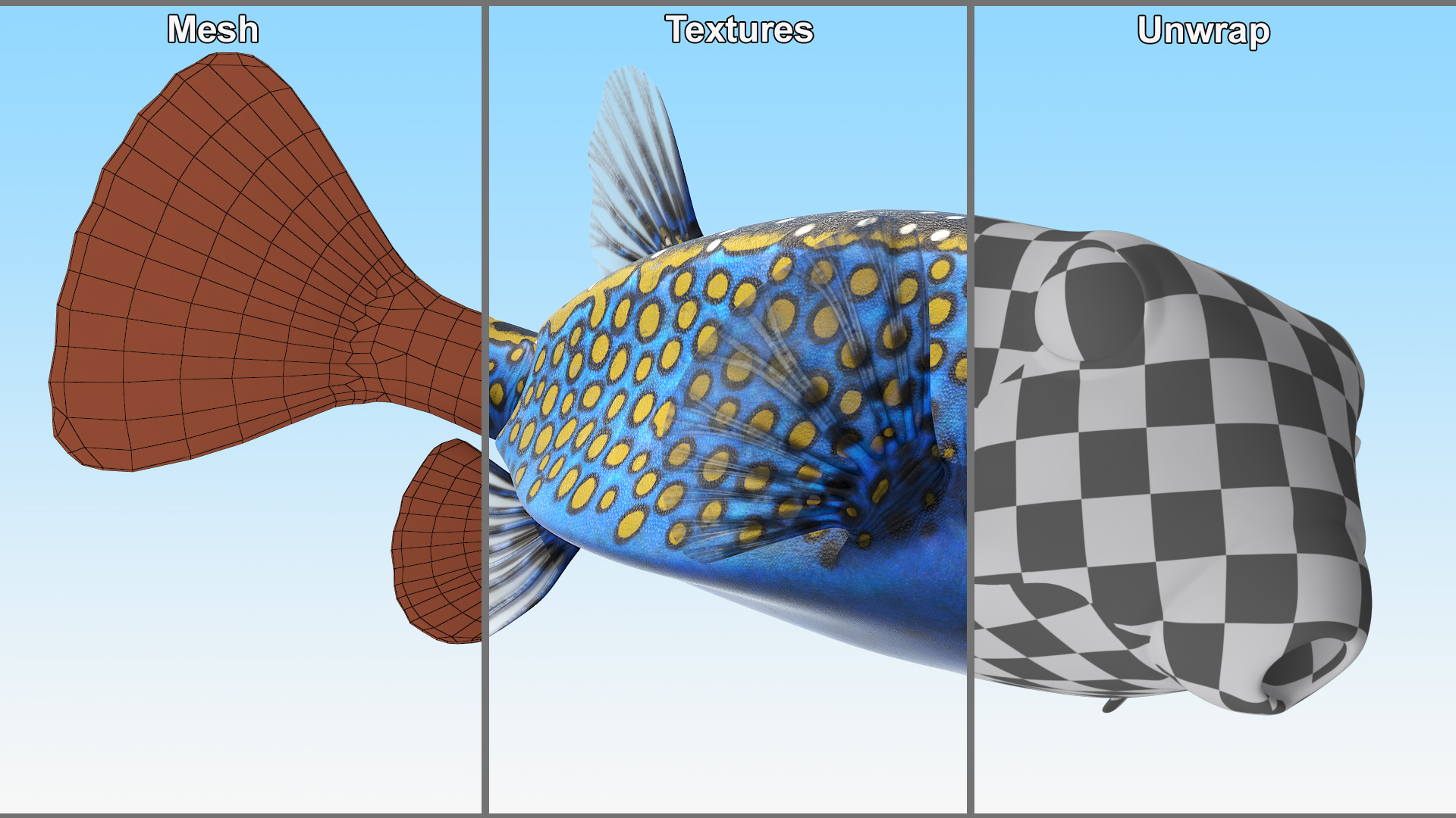 3D model Blue Spotted Boxfish